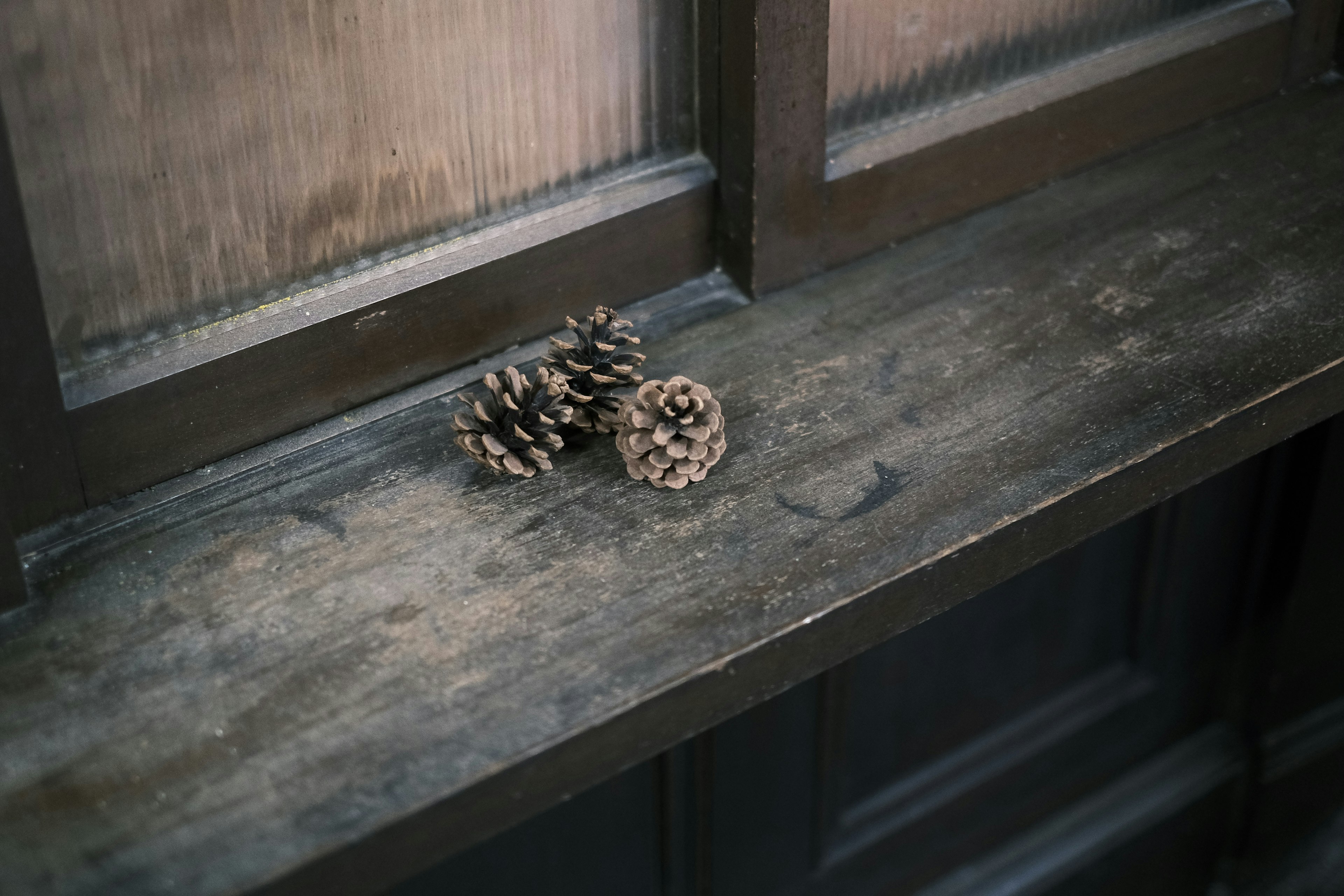 Two pine cones placed on a wooden surface with a dark background