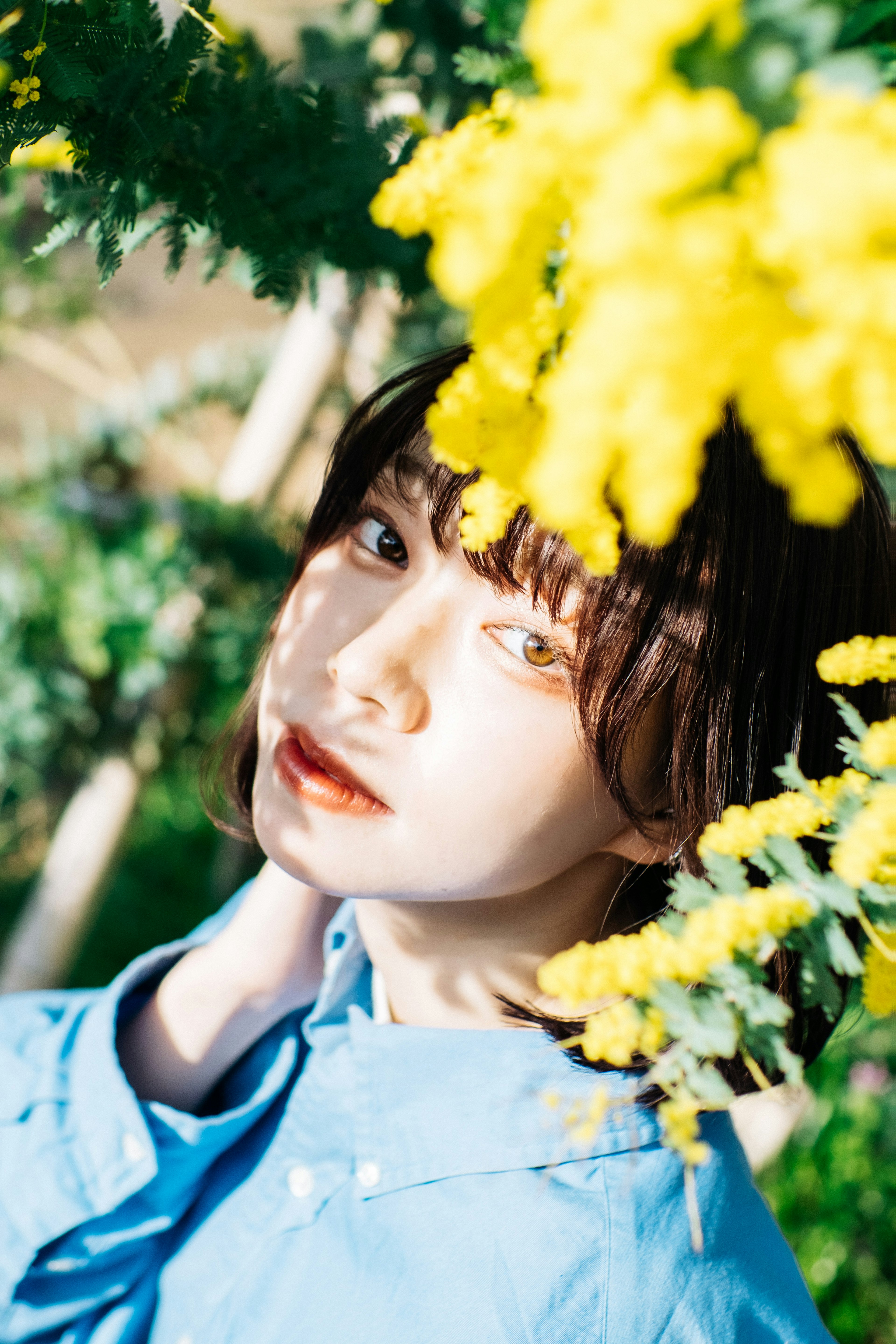 Portrait of a woman gazing through yellow flowers