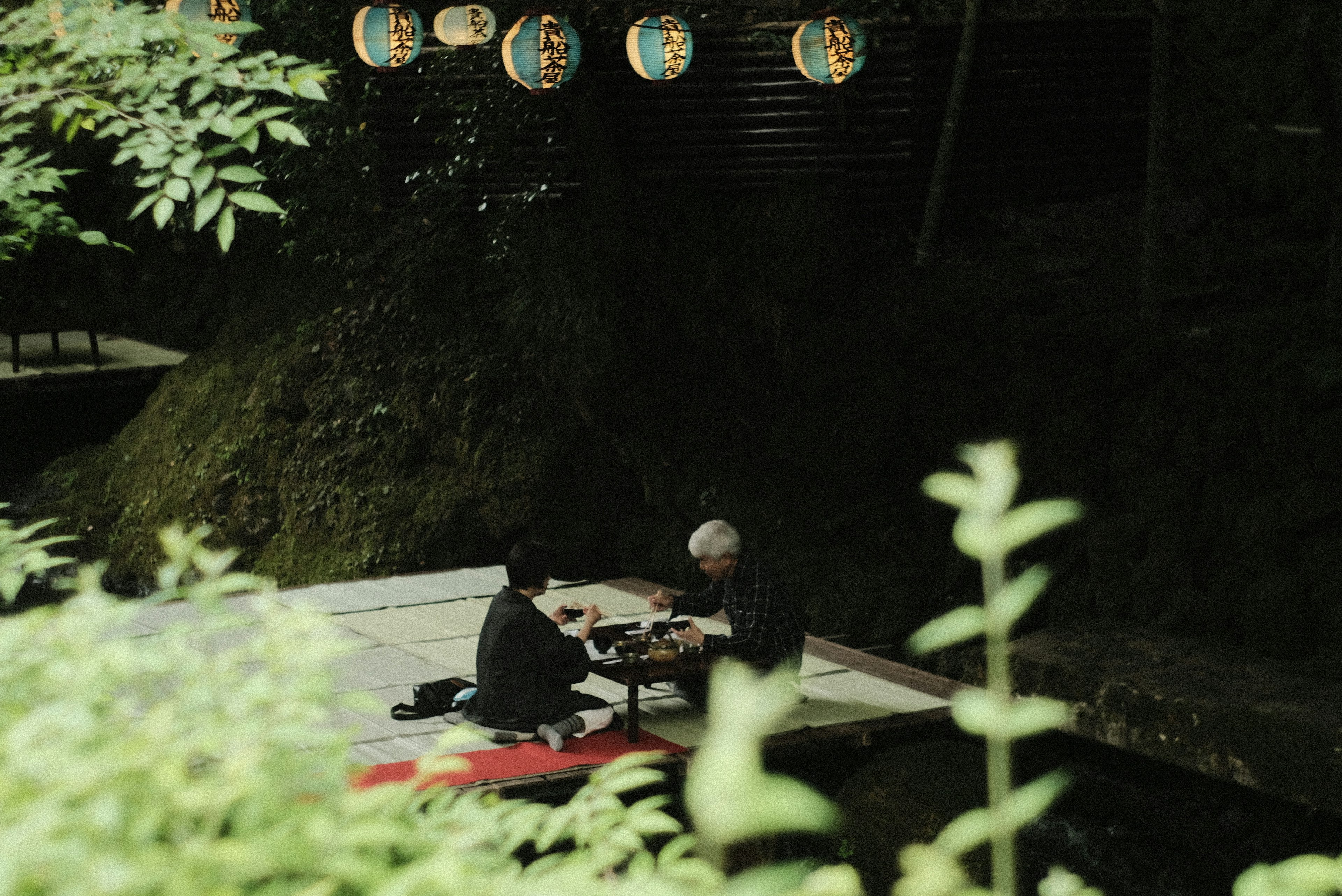 Two people sitting at a table by a serene water edge surrounded by greenery with lanterns hanging above