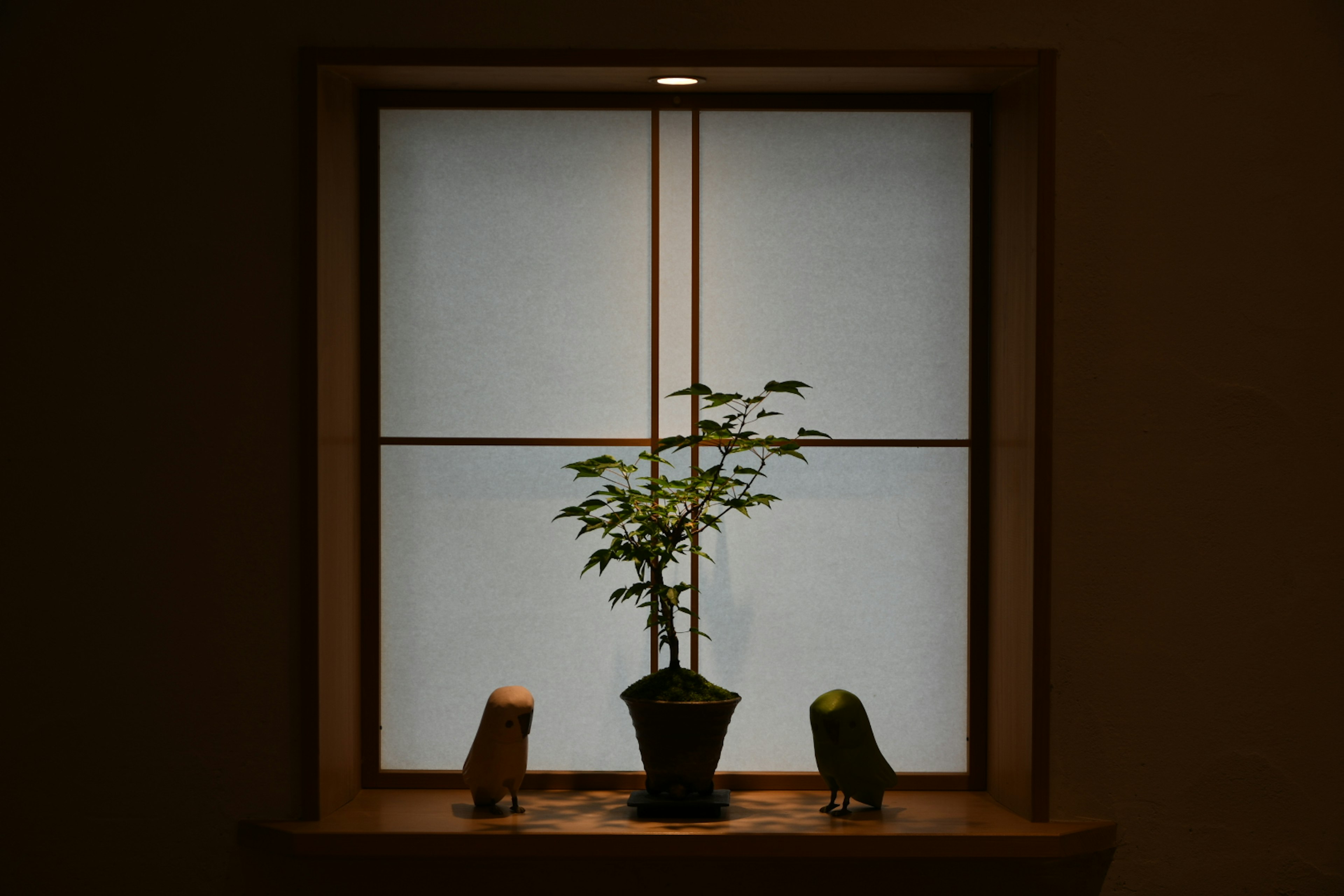 A small plant and two objects placed on a windowsill