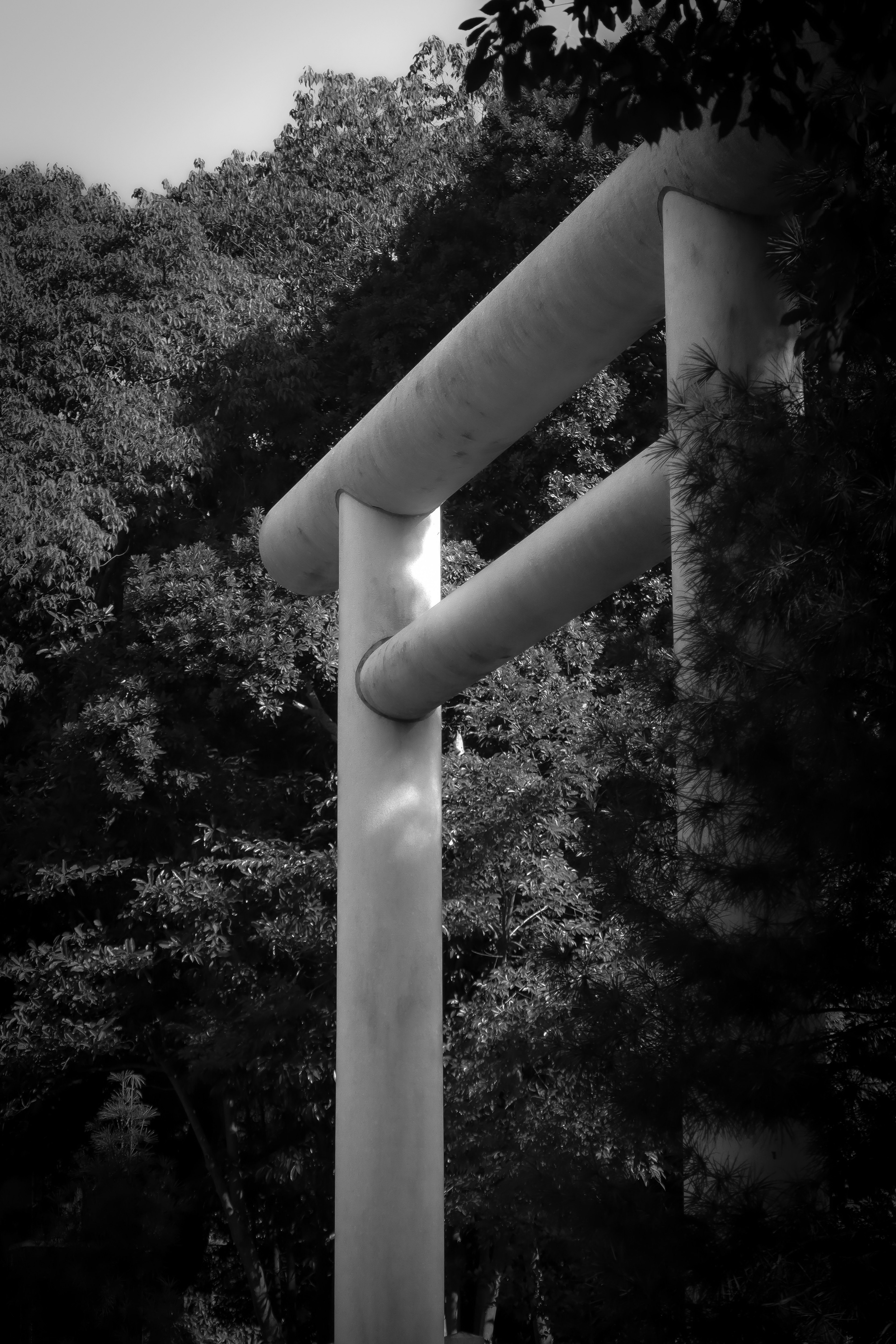 Schwarzweißbild eines Torii-Gates vor grünem Hintergrund