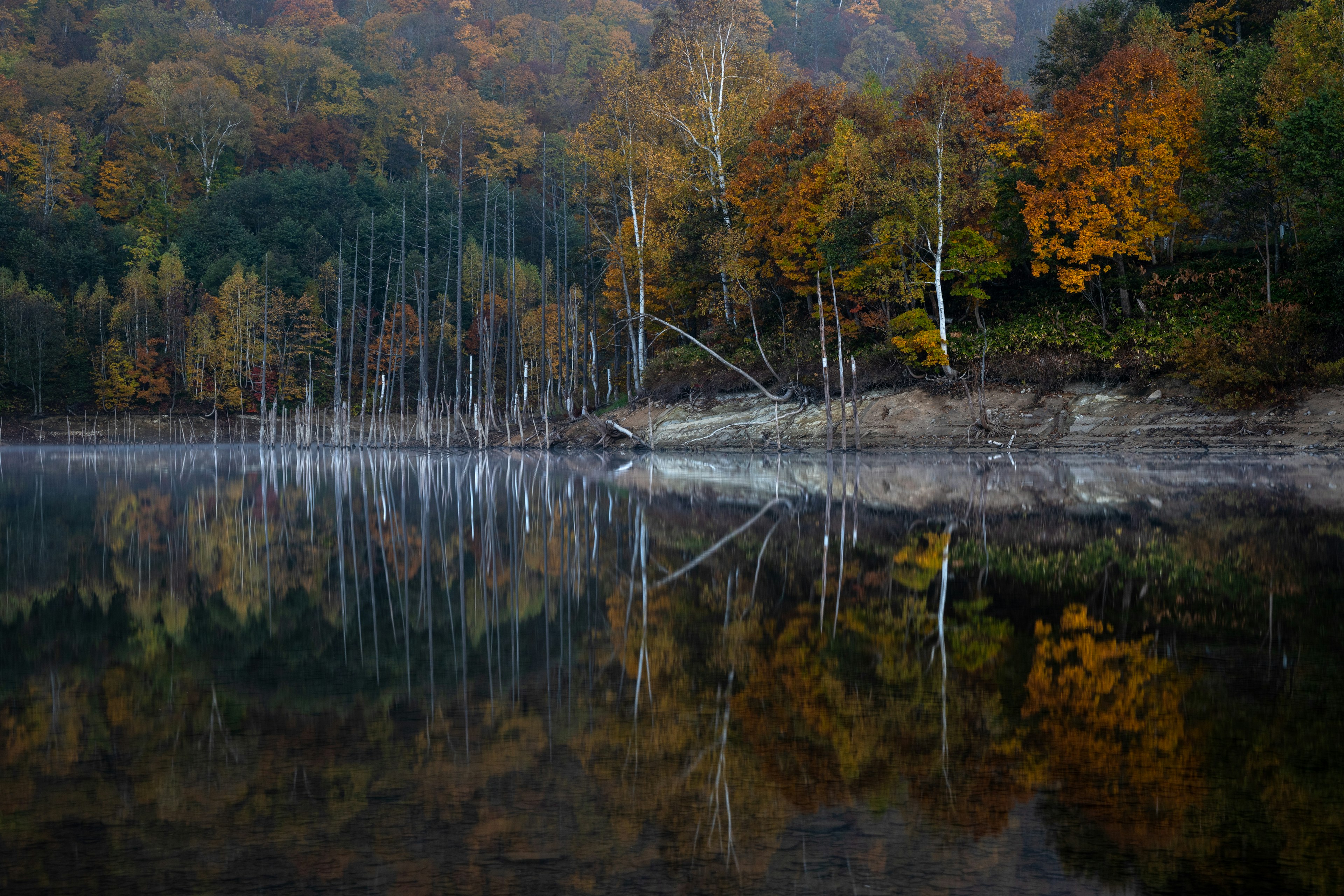 色とりどりの秋の木々が湖面に映る風景