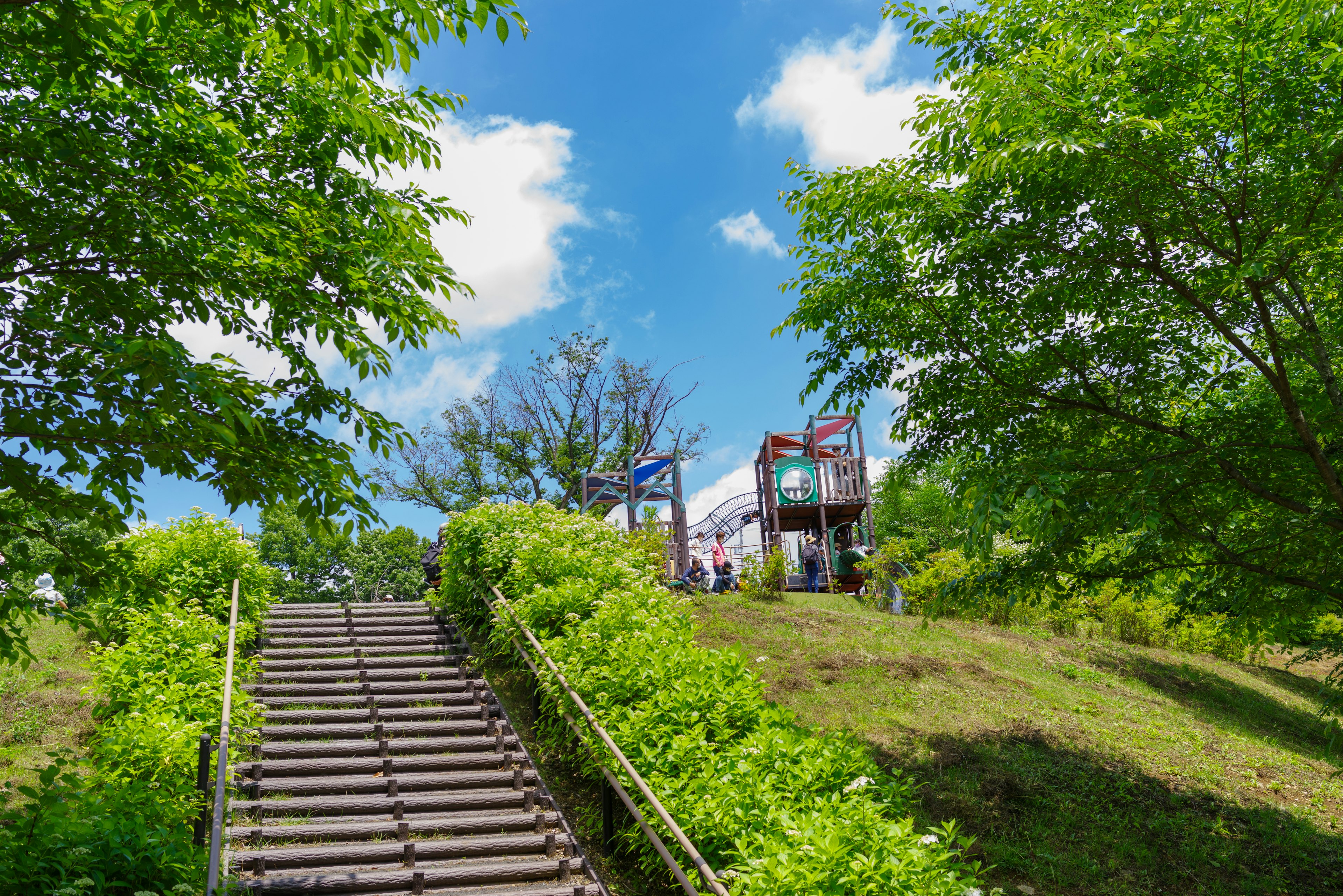 Escaliers en bois menant à une structure de jeu colorée entourée de verdure