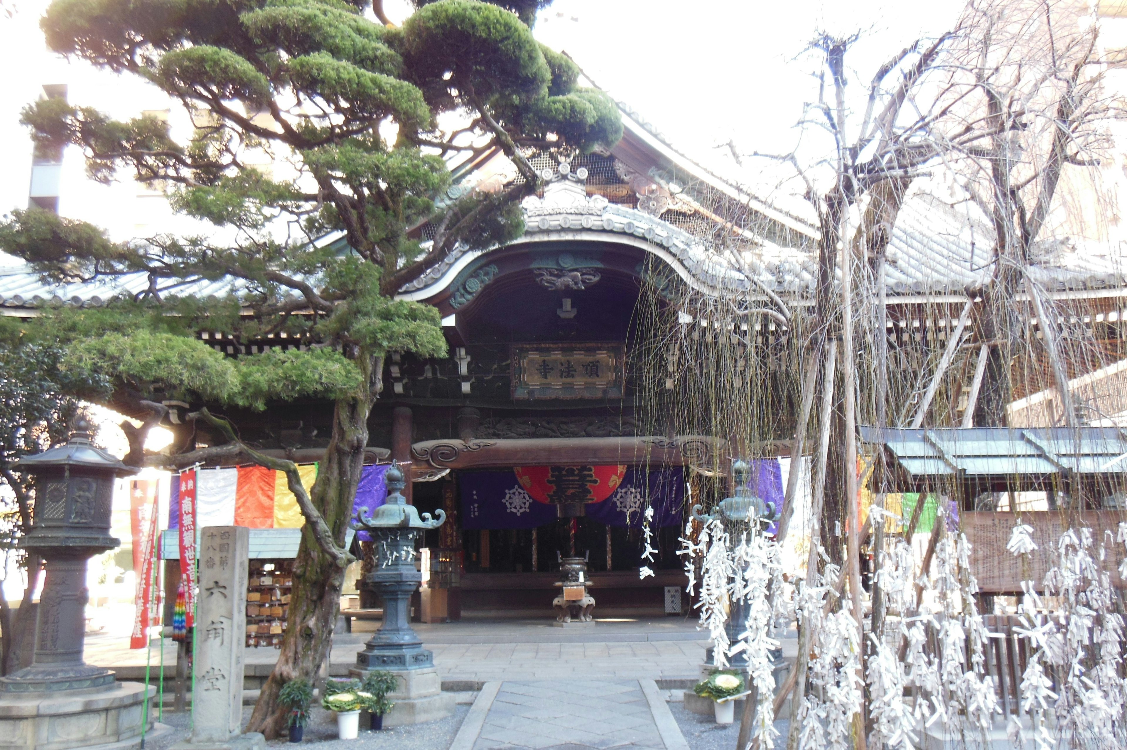 Traditional Japanese temple entrance featuring a beautiful pine tree and decorative lanterns