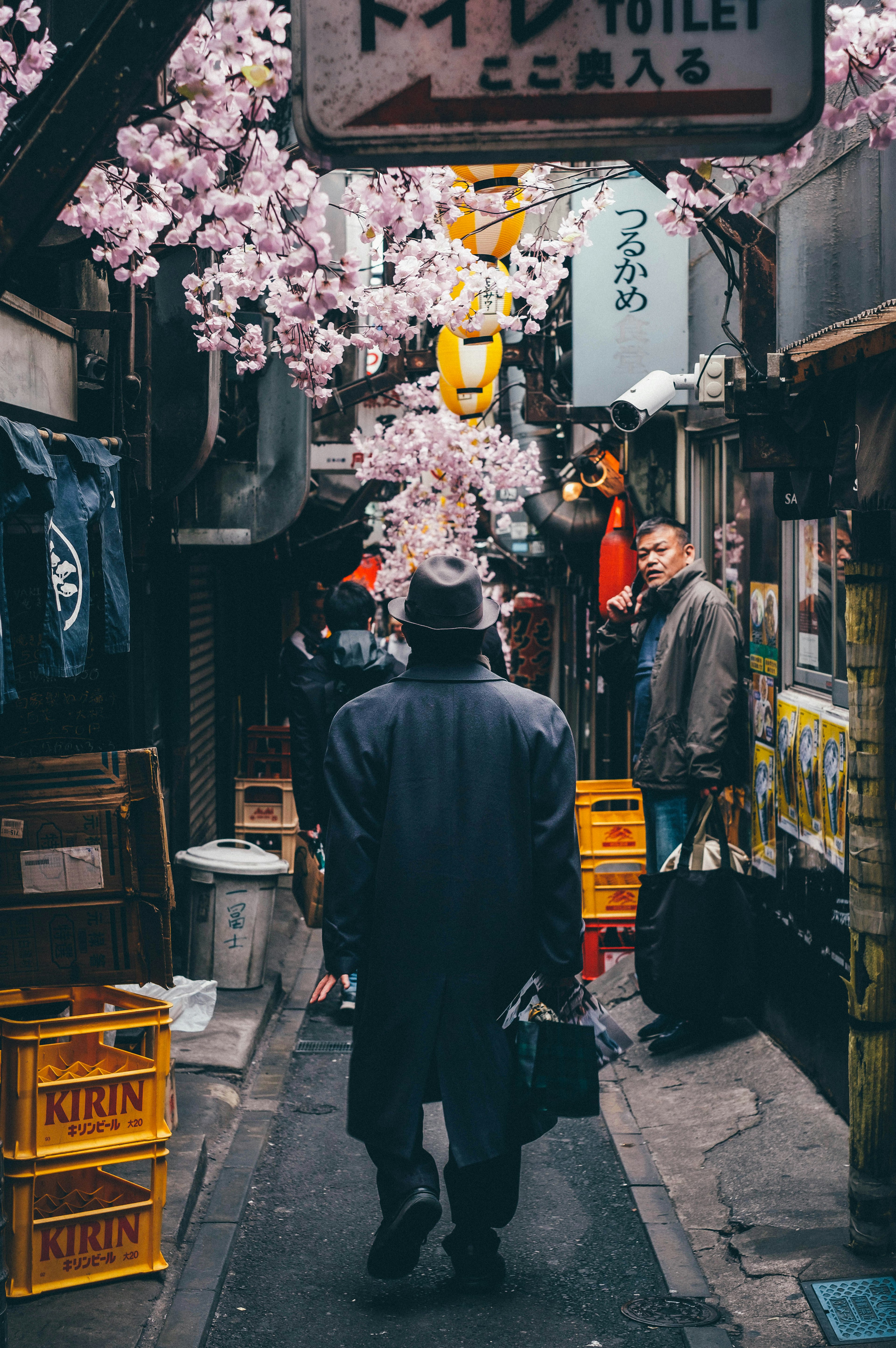 桜の花が咲く狭い路地を歩く男性の後ろ姿