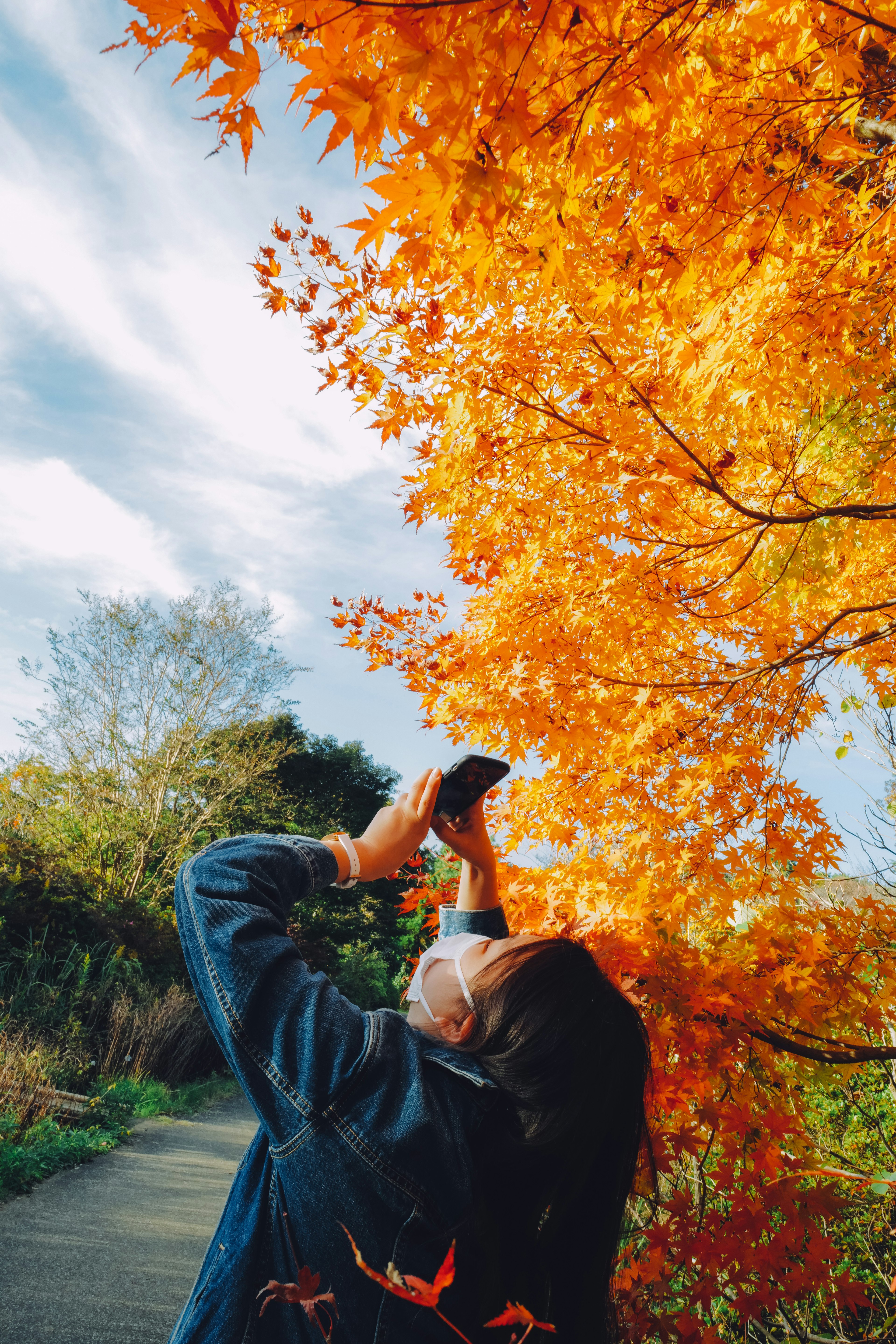 Frau, die nach oben zu lebhaften orangefarbenen Herbstblättern gegen einen blauen Himmel schaut