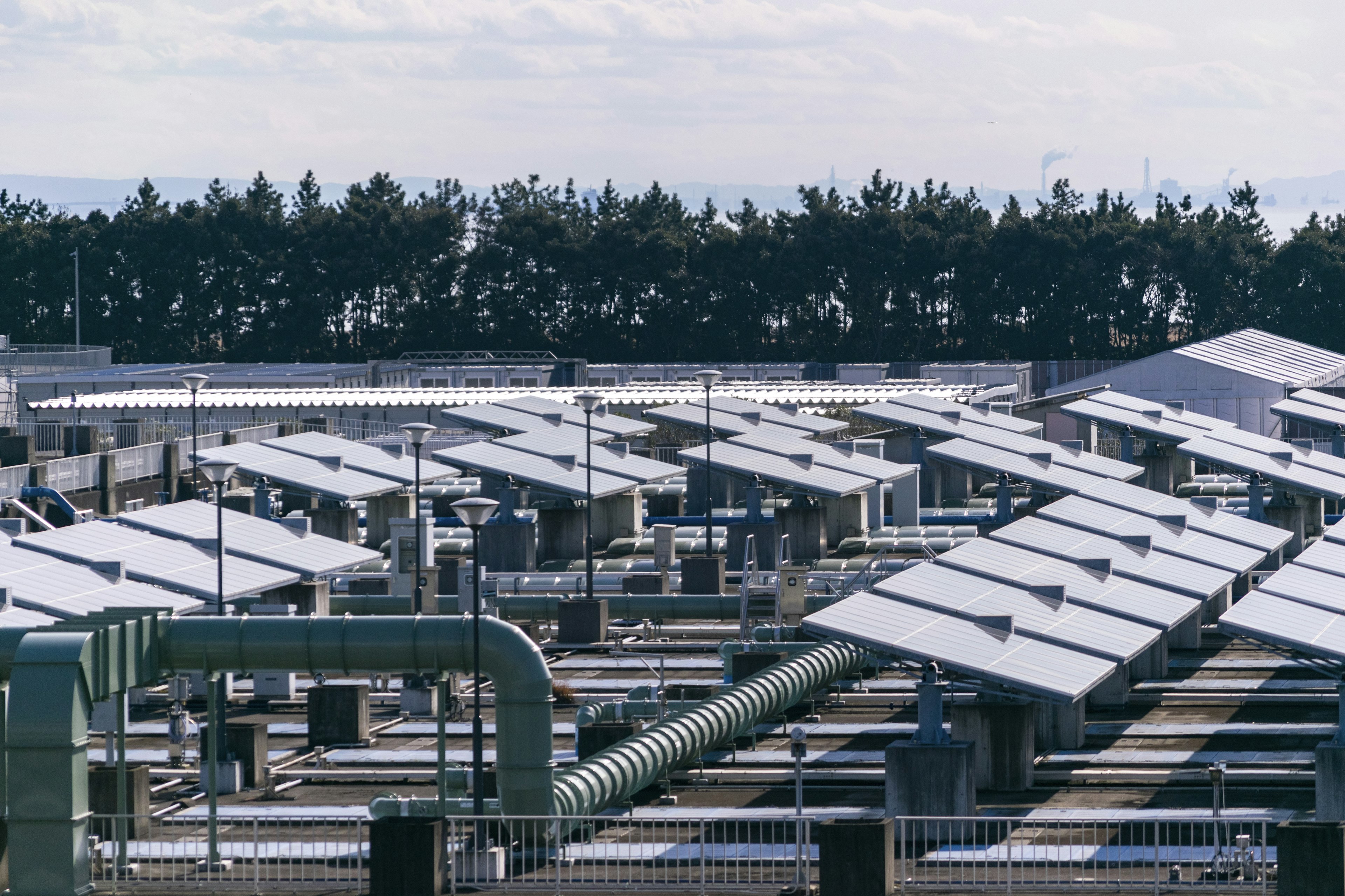 Expansive rooftops with solar panels and green trees in an industrial area