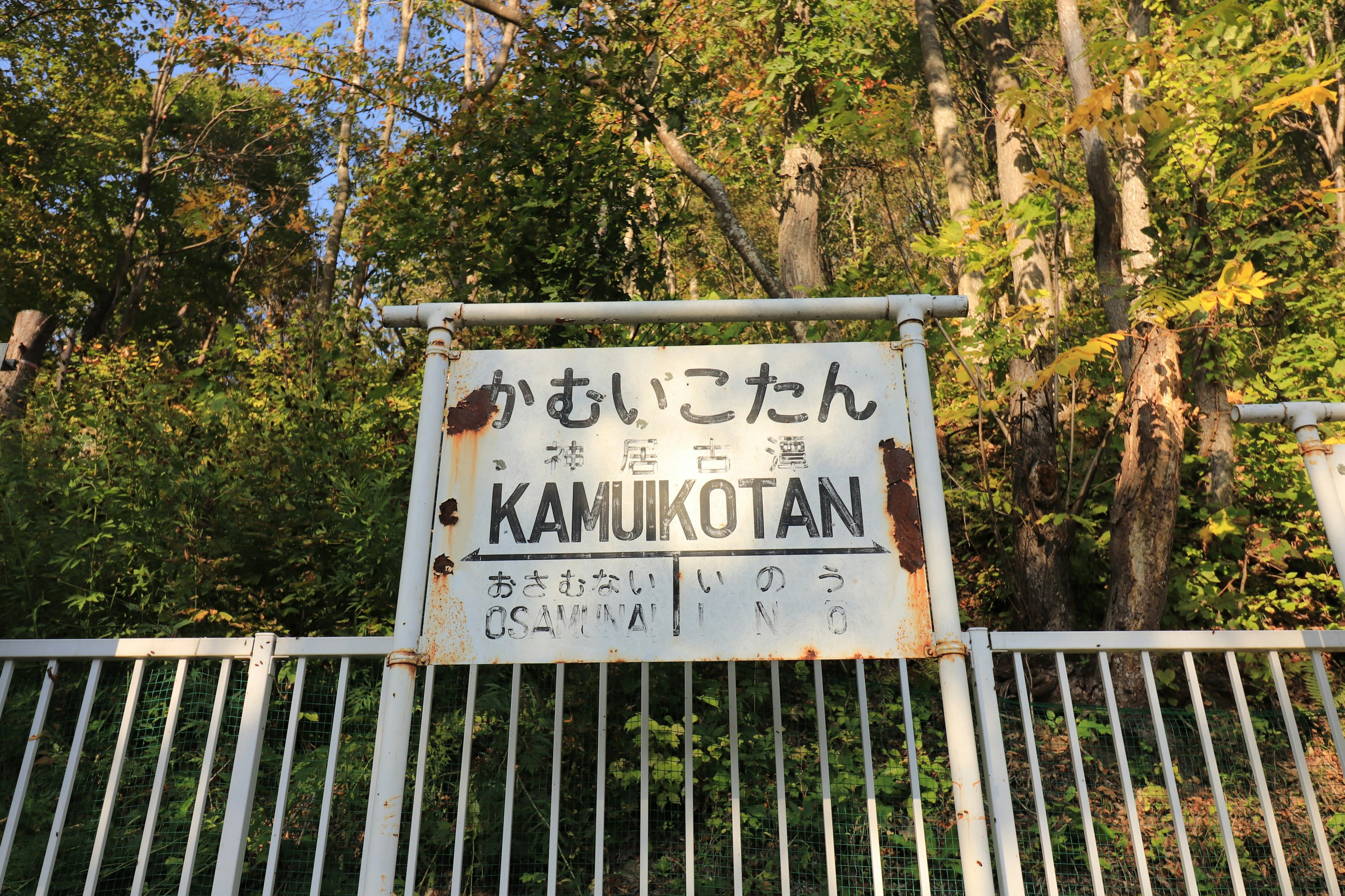 かむいこたんの看板と周囲の自然が見える風景