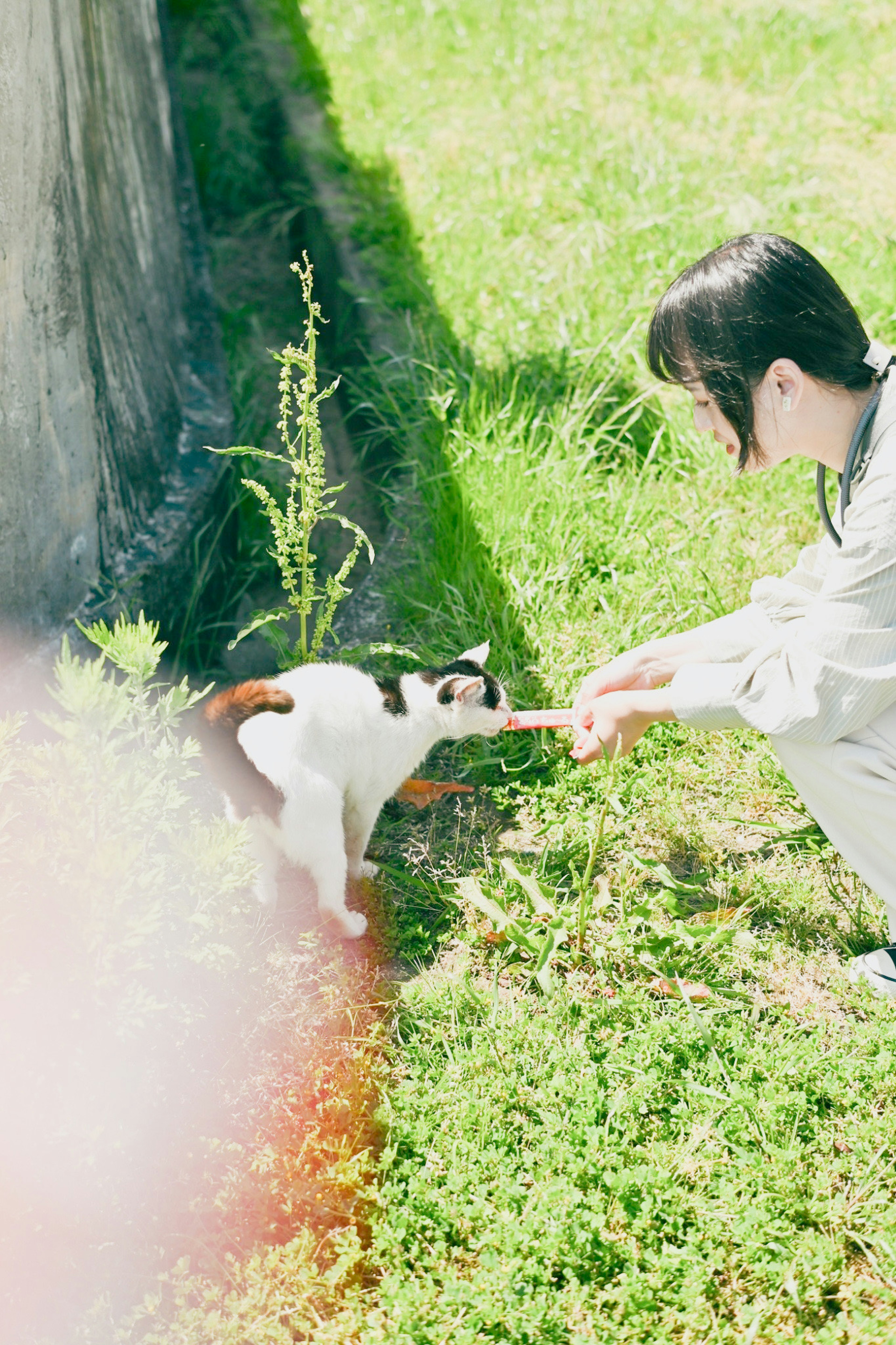 A person playing with a cat in a grassy area near a wall