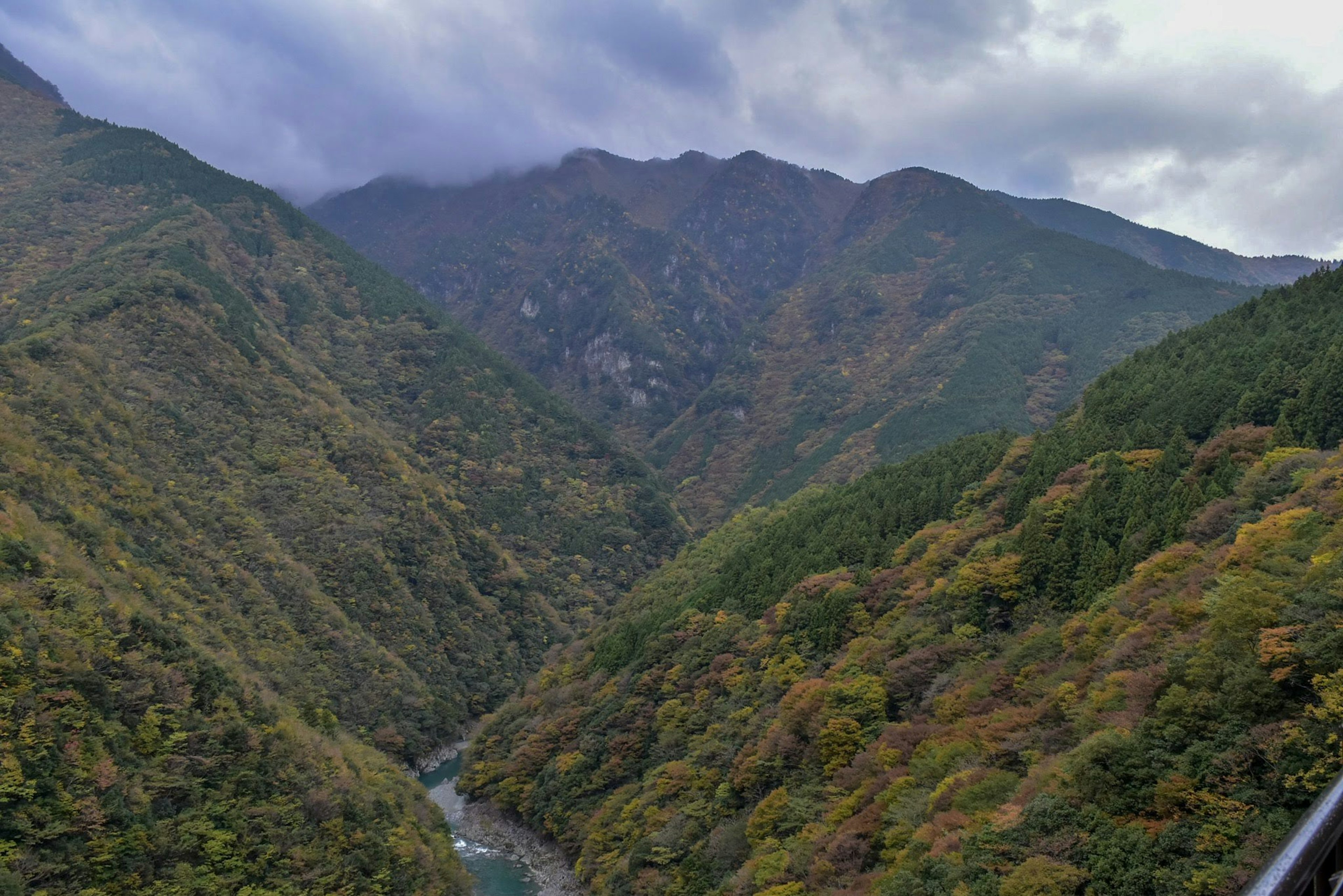 緑の山々と渓谷に囲まれた川の風景