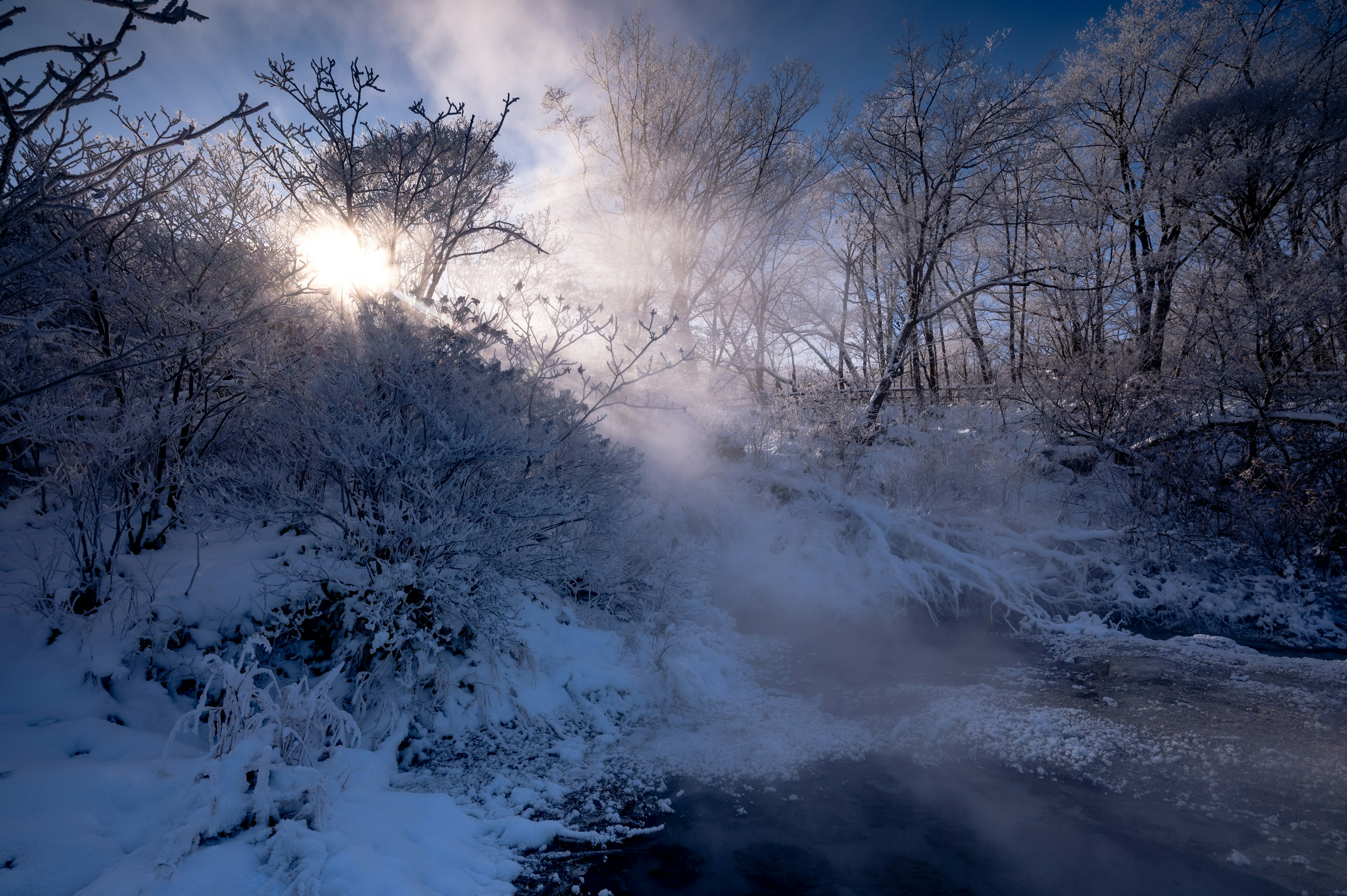 雪に覆われた木々と川の霧が立ち上る冬の風景