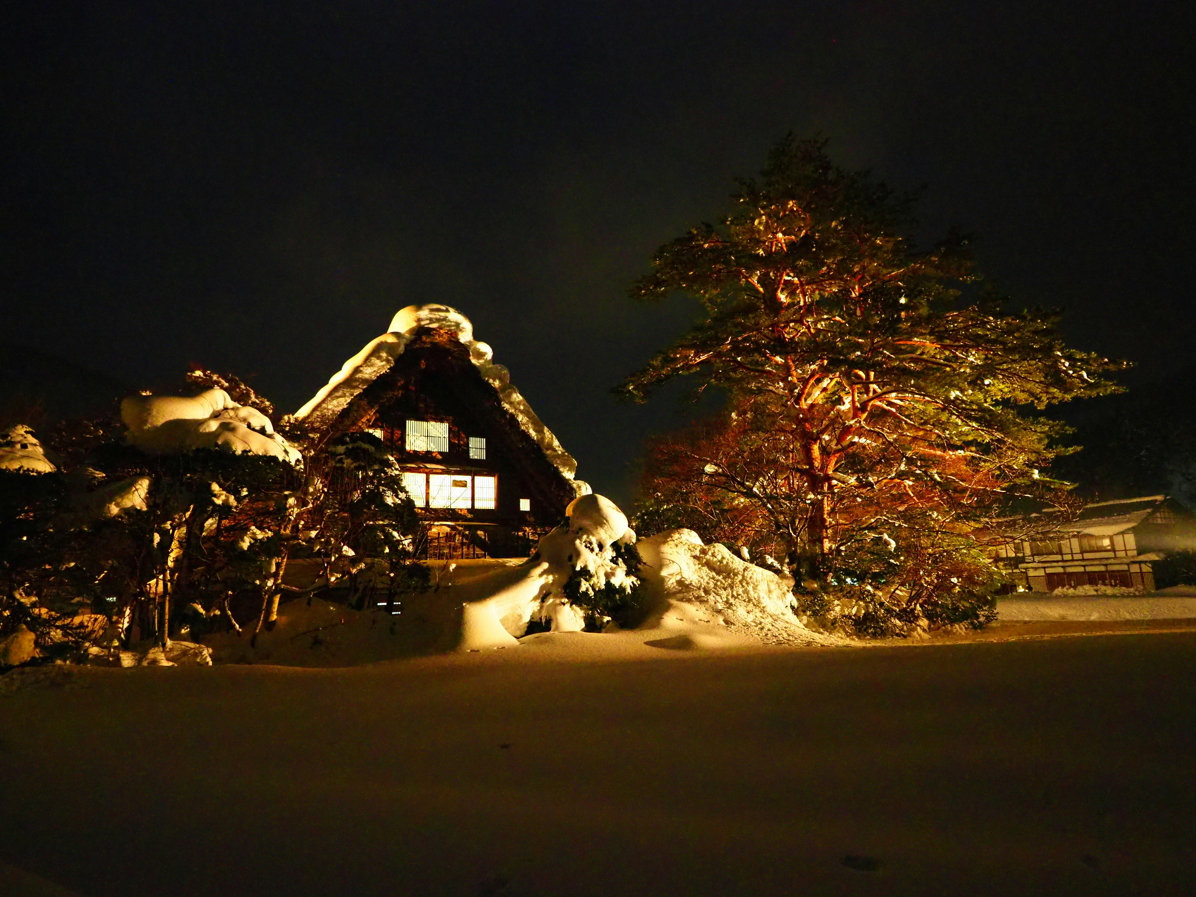 Snow-covered traditional Japanese house with a brightly lit pine tree at night