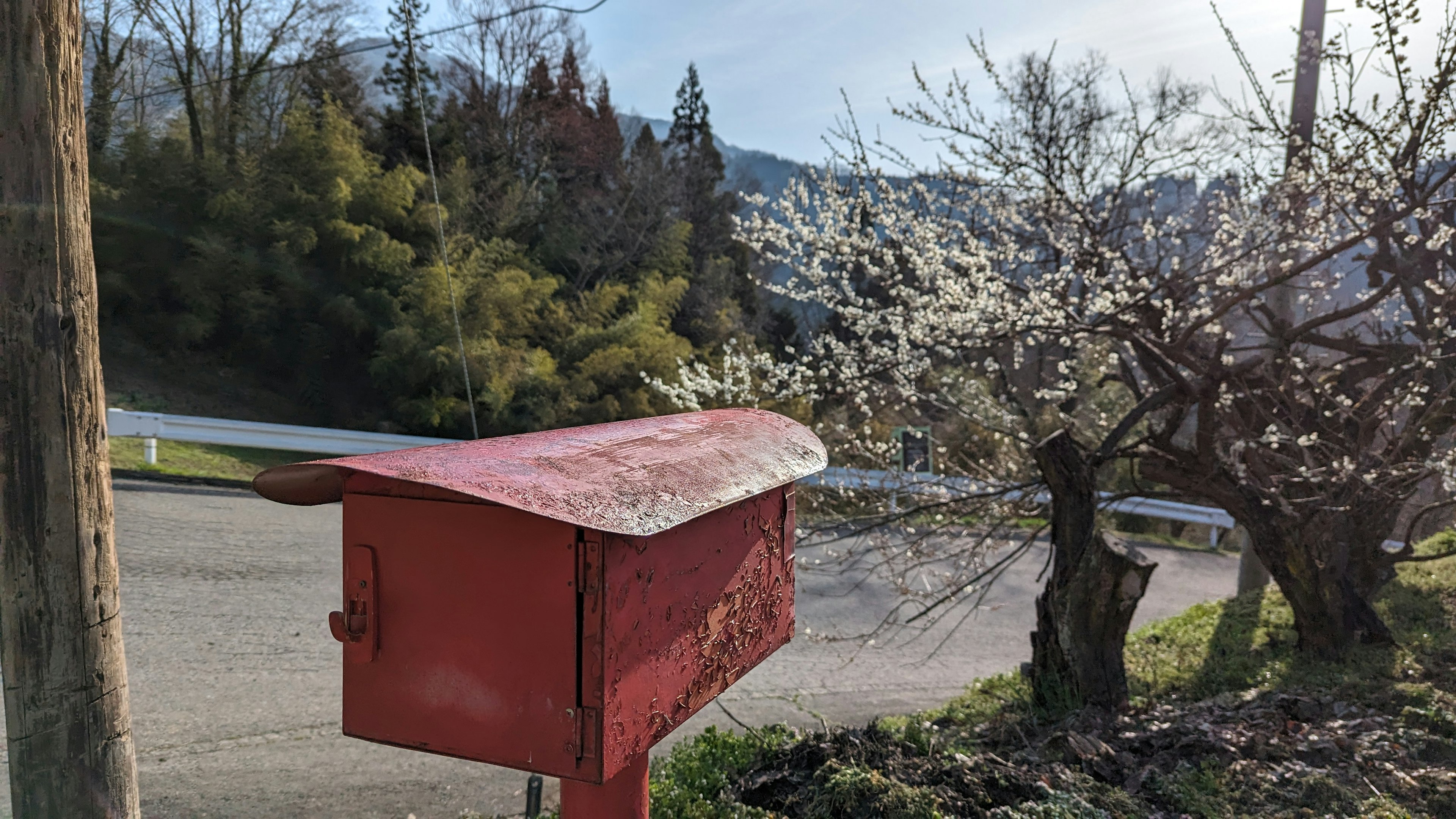 Buzón rojo junto a un árbol en flor en un entorno rural