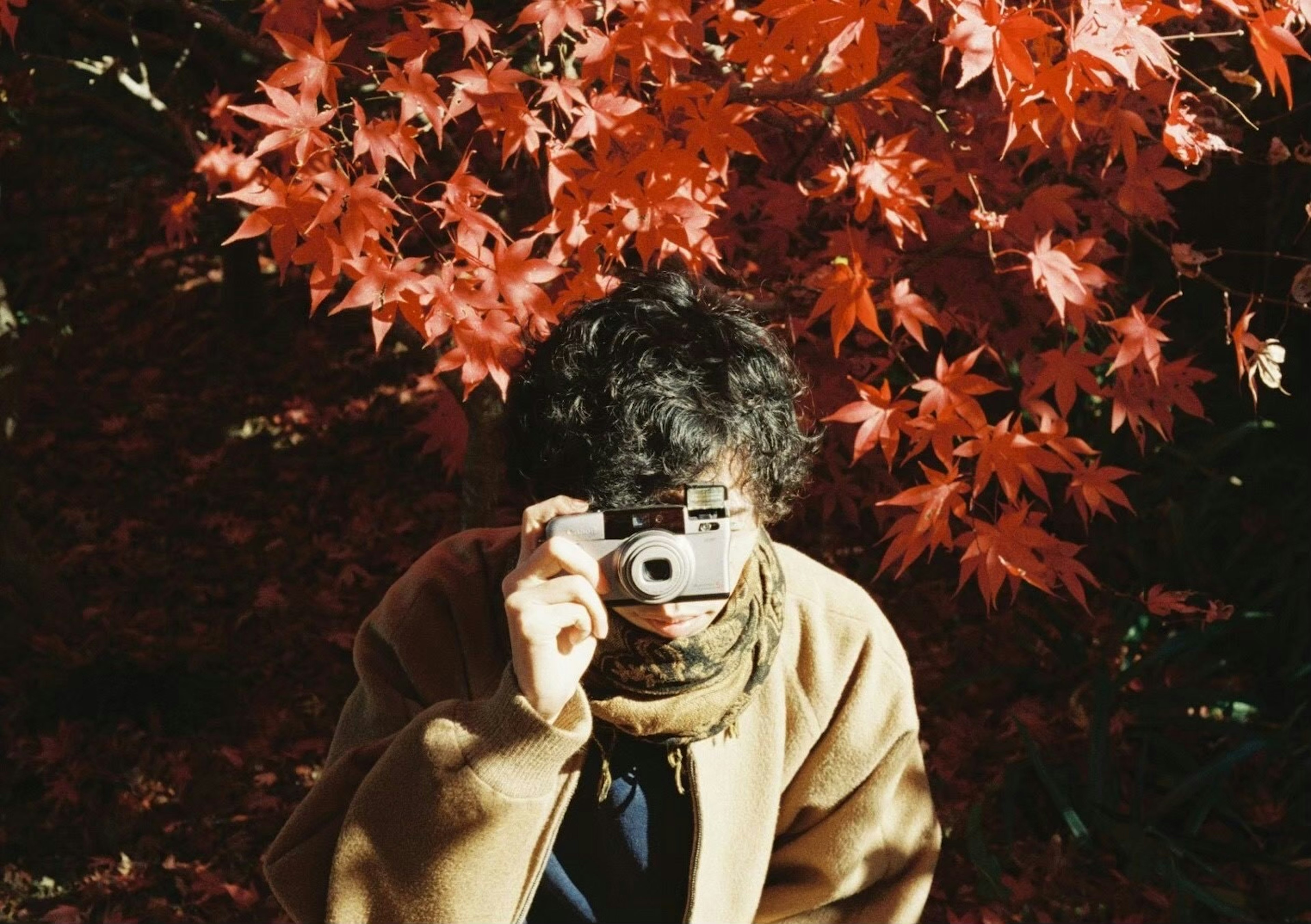 Personne tenant un appareil photo devant un fond de feuilles d'automne rouges vives