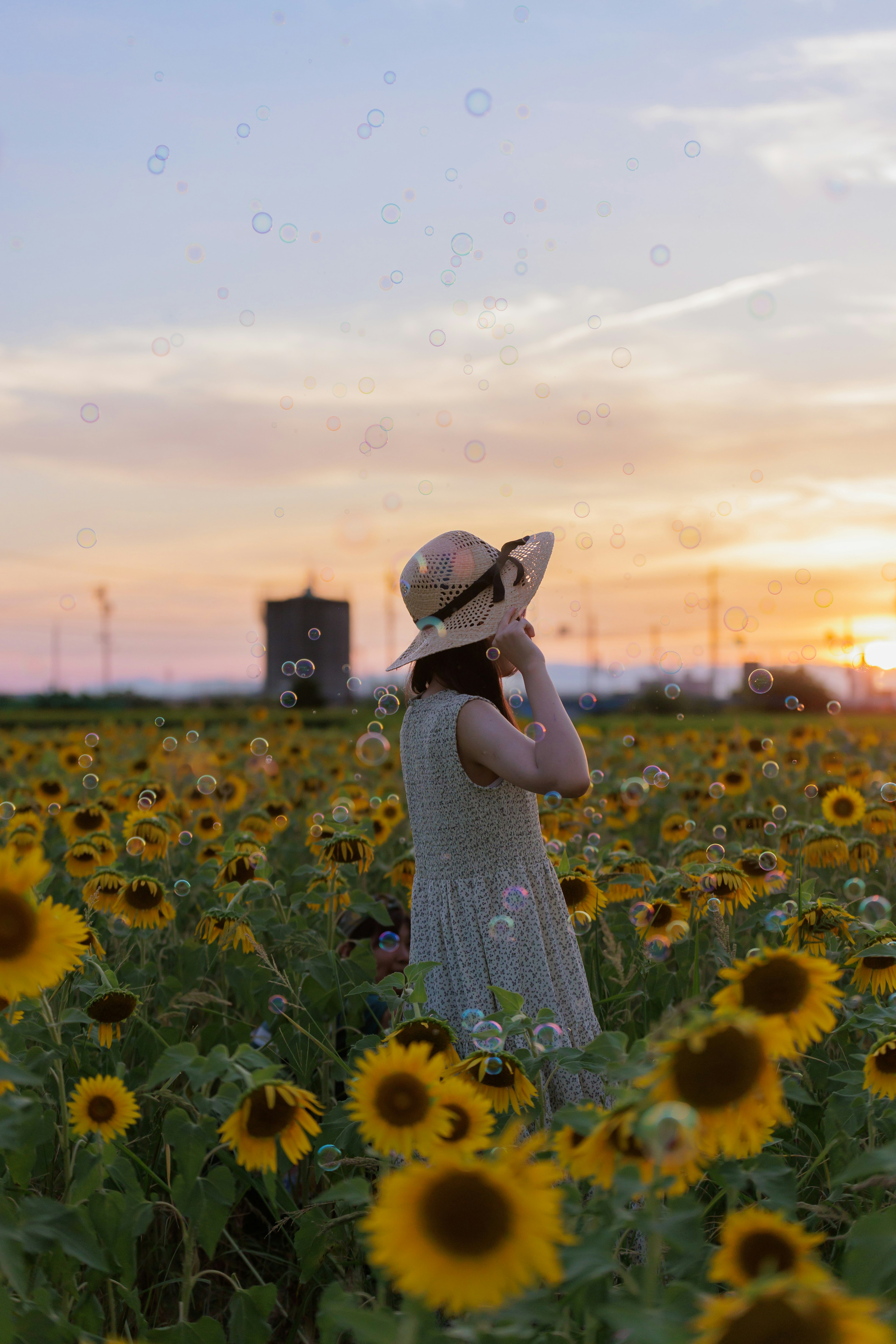 夕日を背景にひまわり畑に立つ女性の横顔