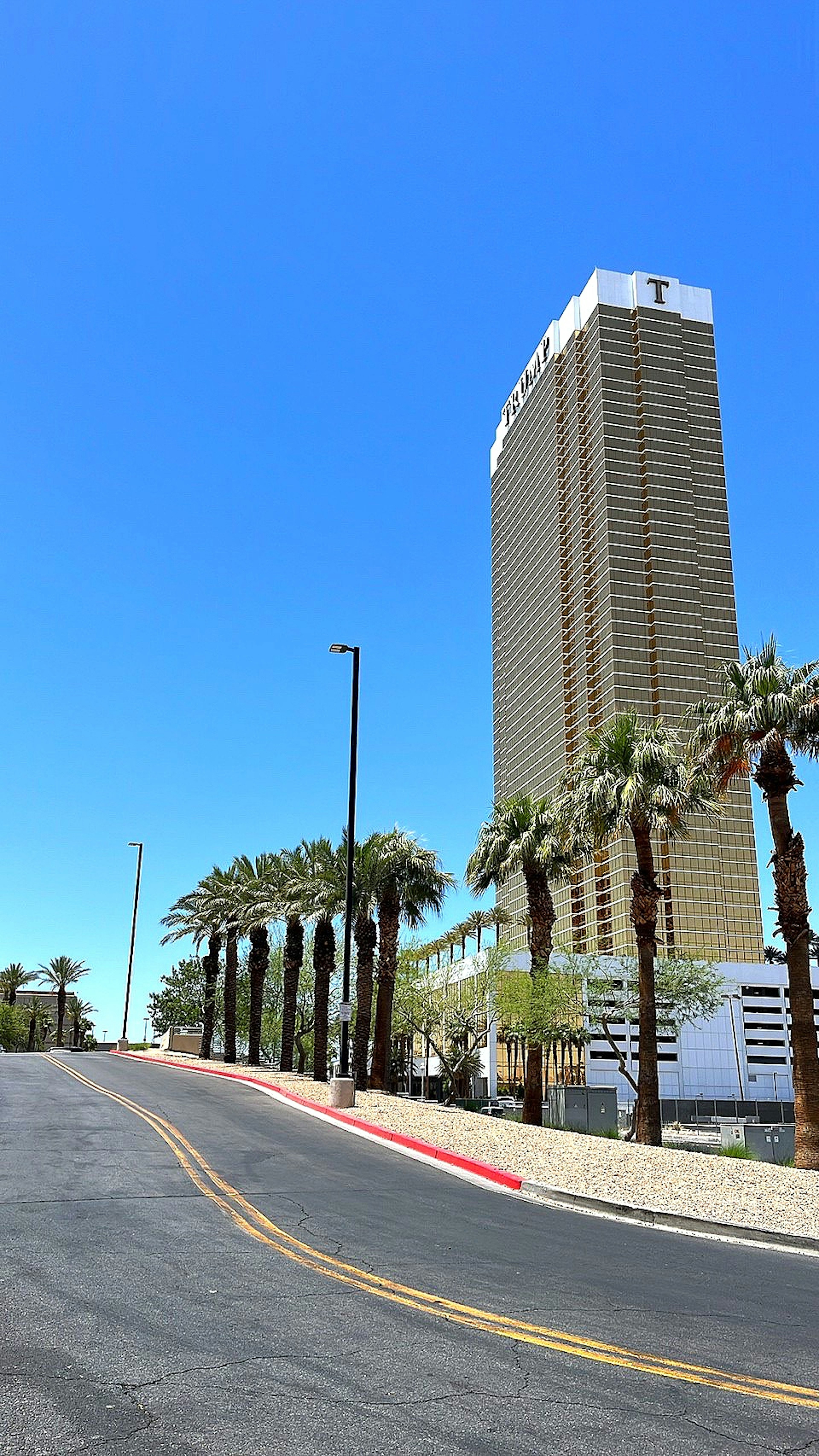 High-rise building with palm trees and clear blue sky