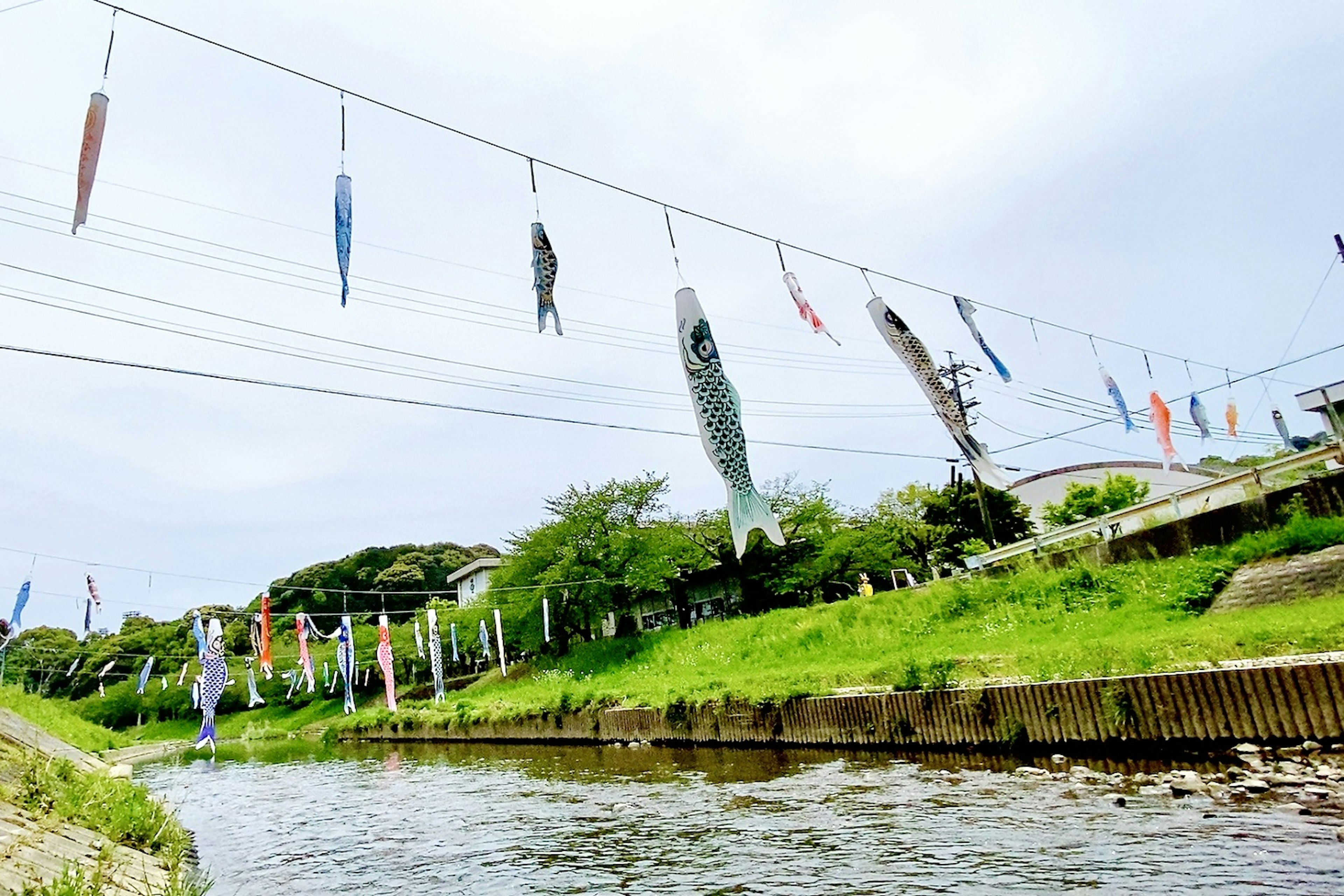 Bunte Koi-Fahnen hängen über einem Fluss und wehen im Wind