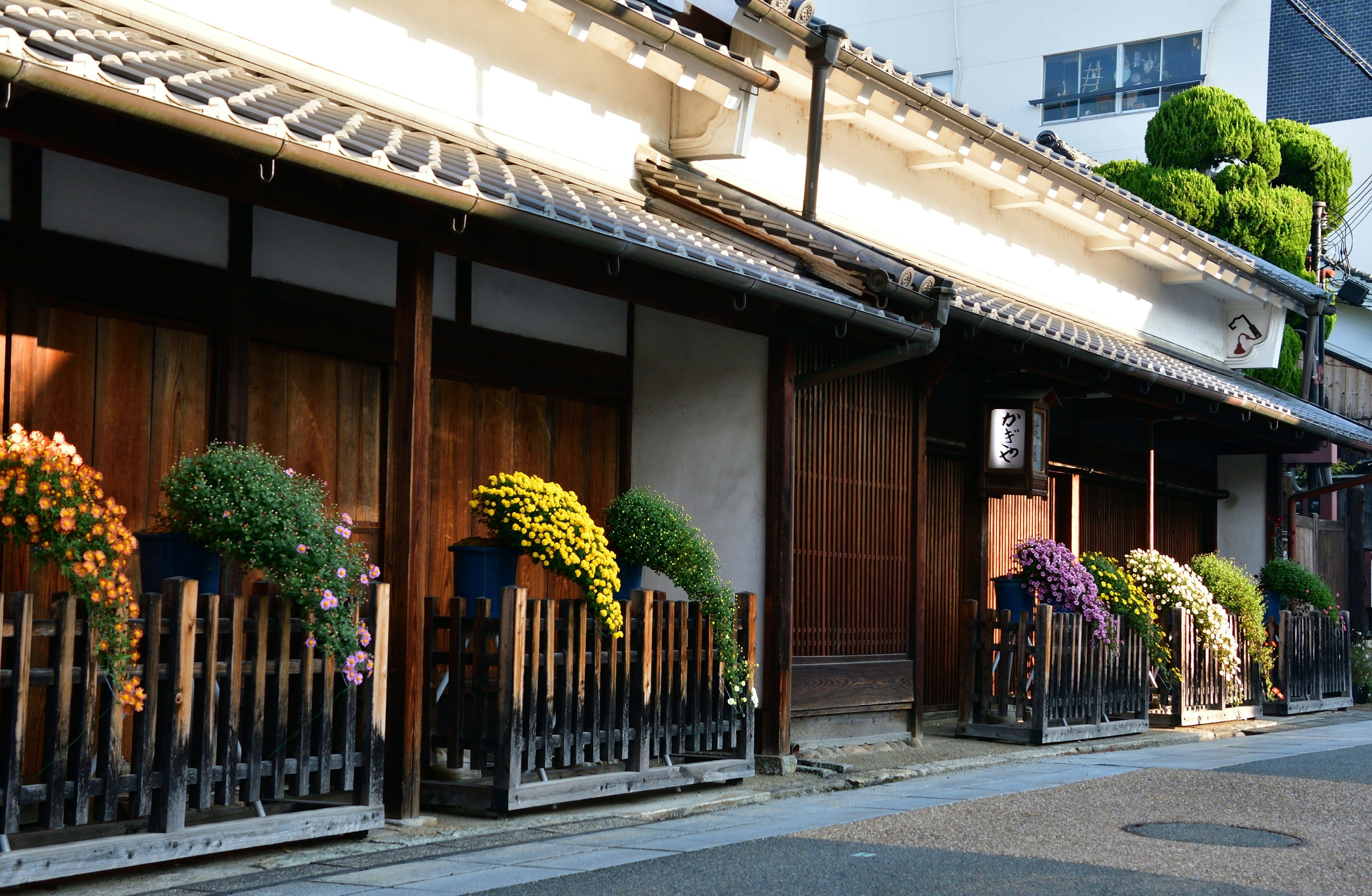 傳統日本建築旁邊裝飾著五彩繽紛的花卉