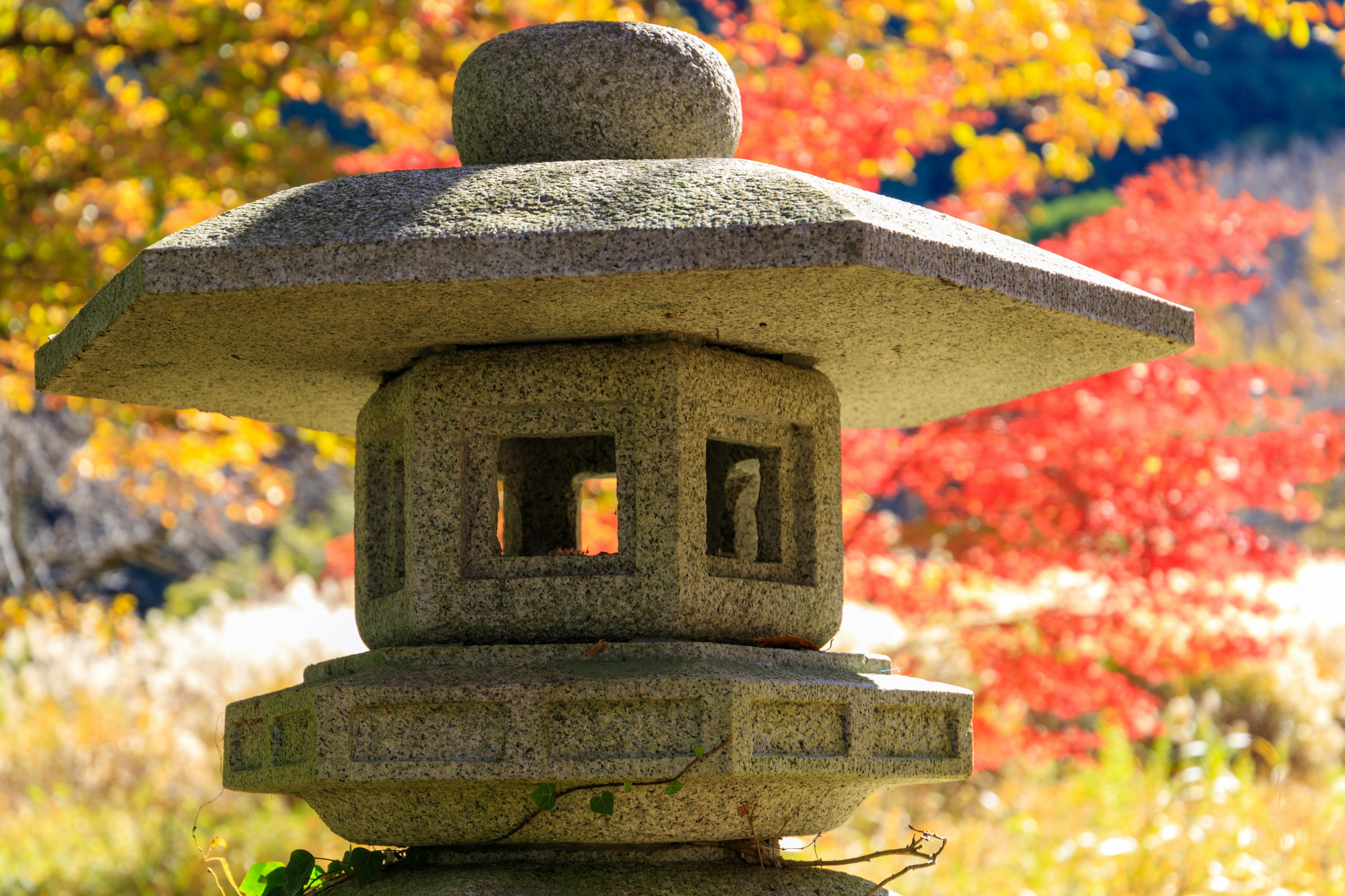 Linterna de piedra con fondo de follaje de otoño