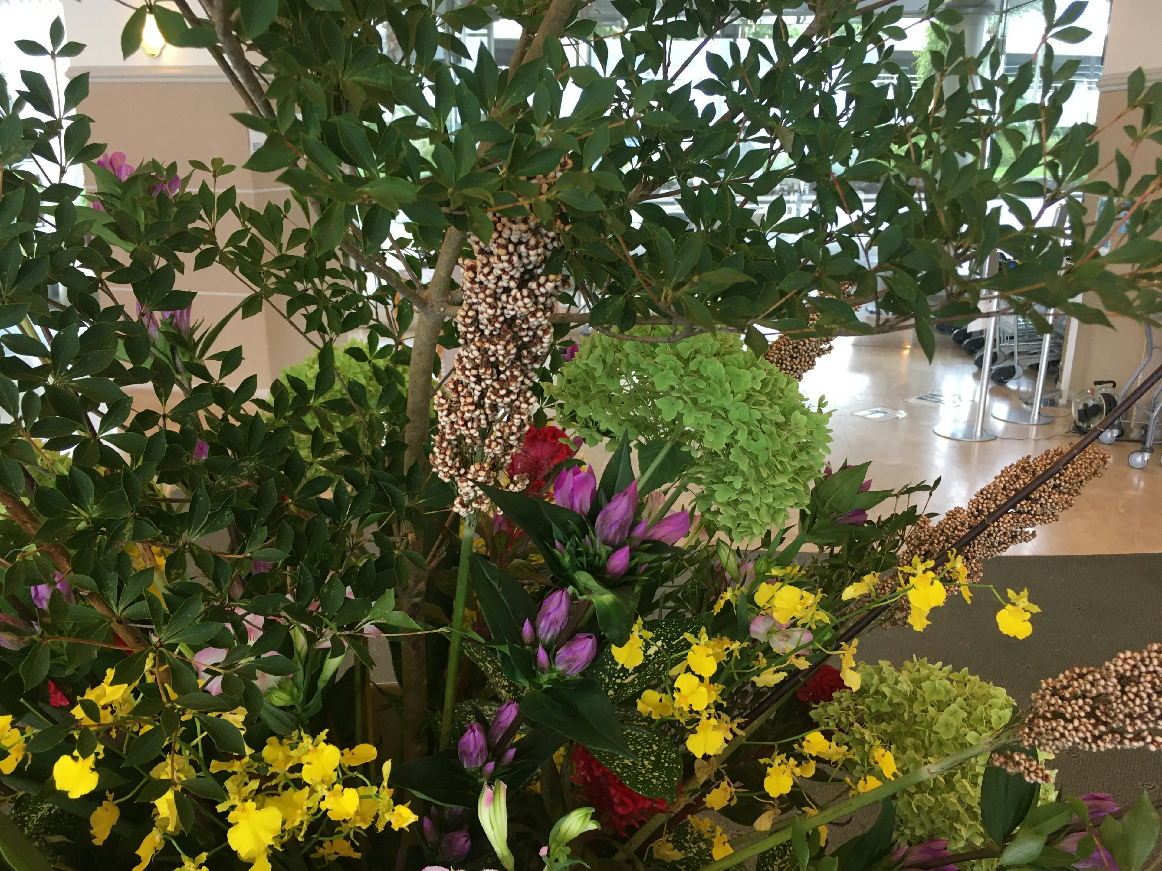 A vibrant arrangement of various flowers and lush green leaves