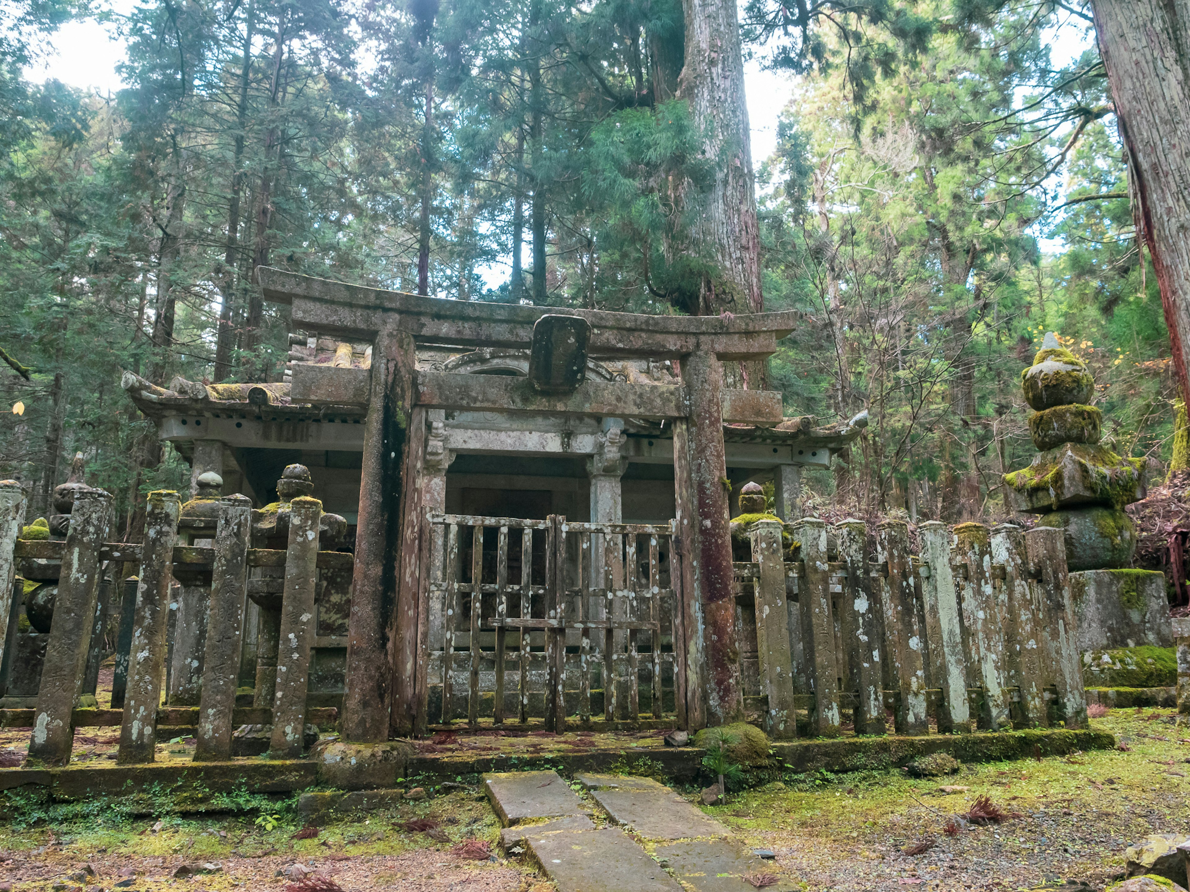 An ancient shrine gate surrounded by moss-covered stone statues in a forest