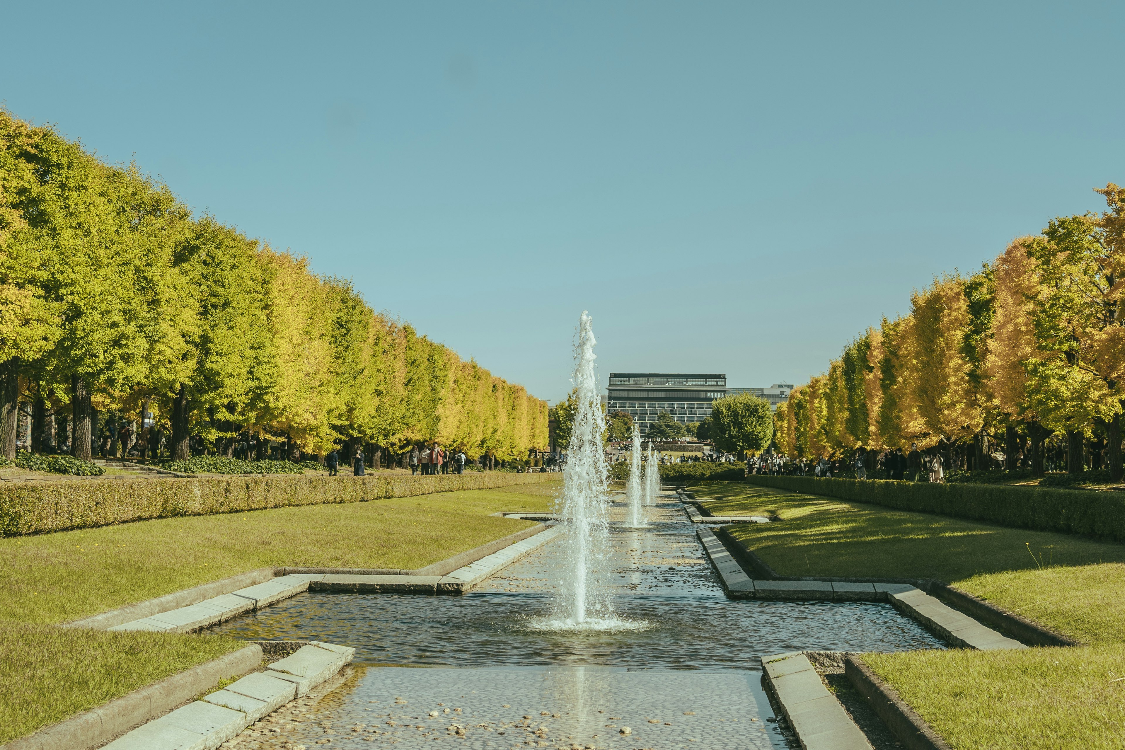 Garden fountain with colorful tree-lined pathways