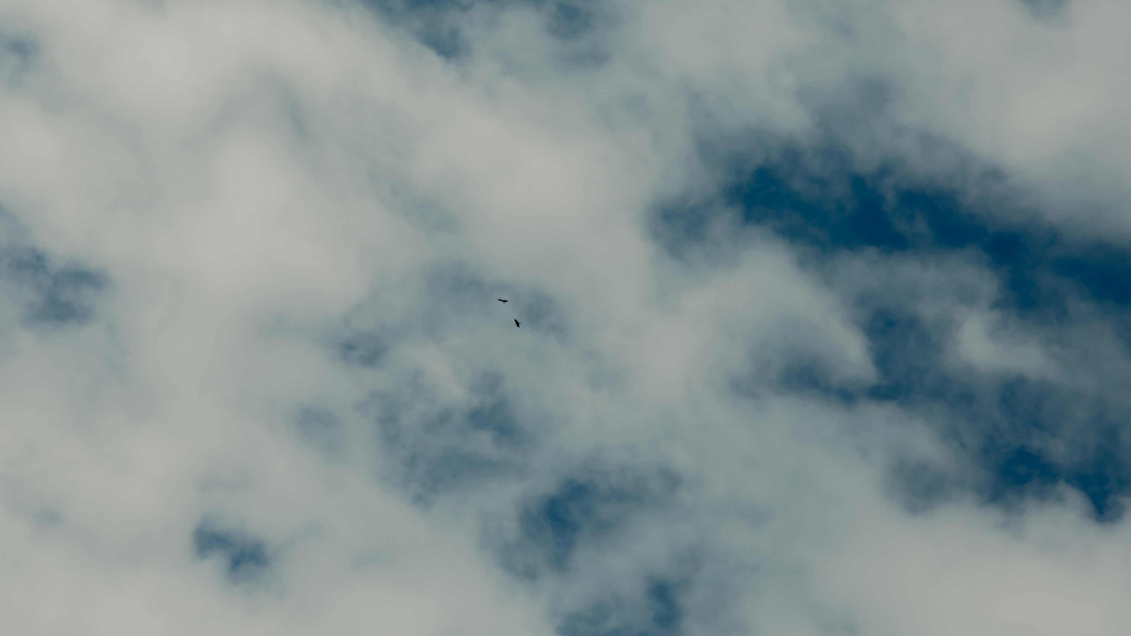 Foto langit dengan awan putih dan biru