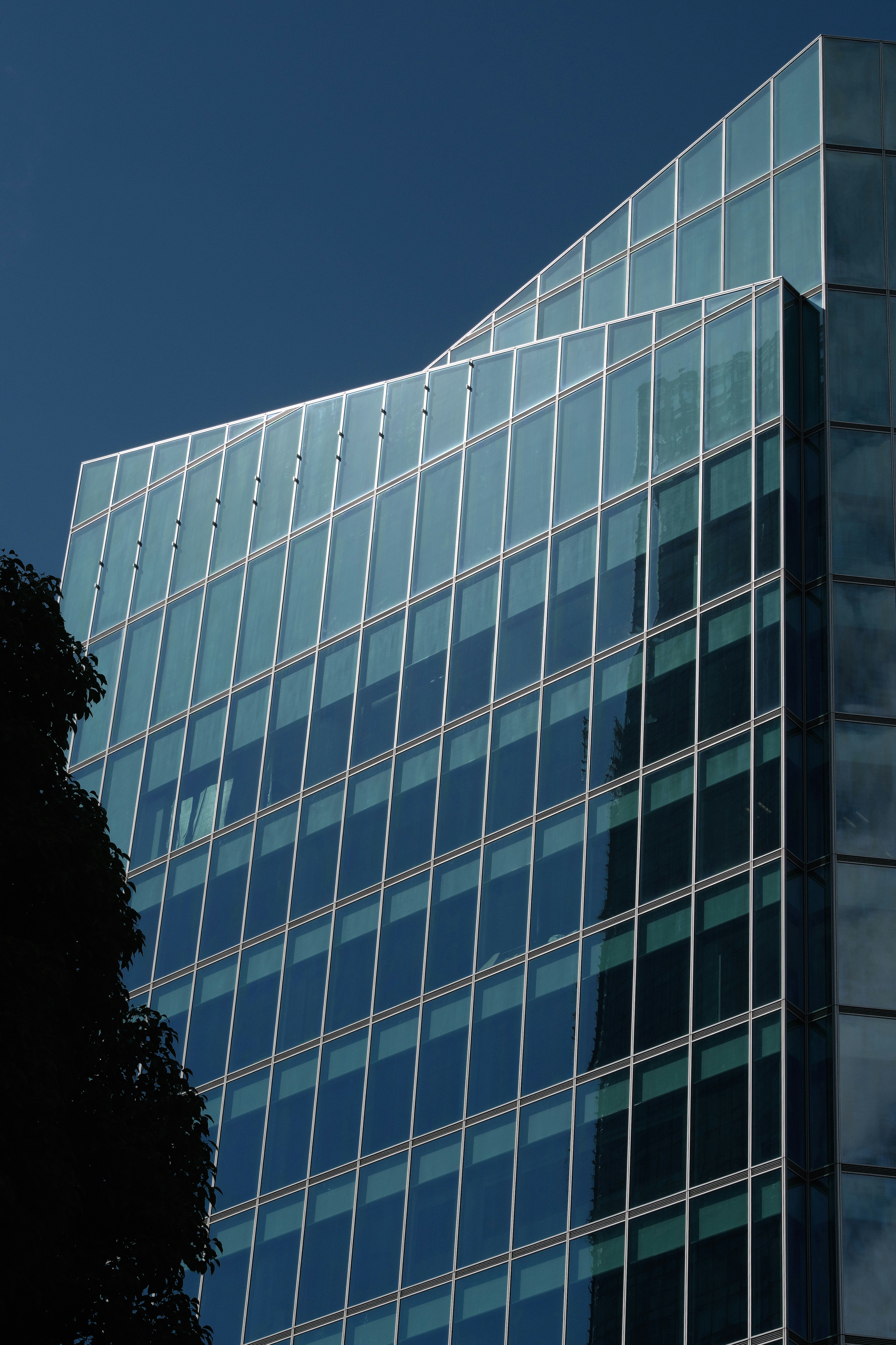 Parte di un moderno edificio per uffici con facciata in vetro