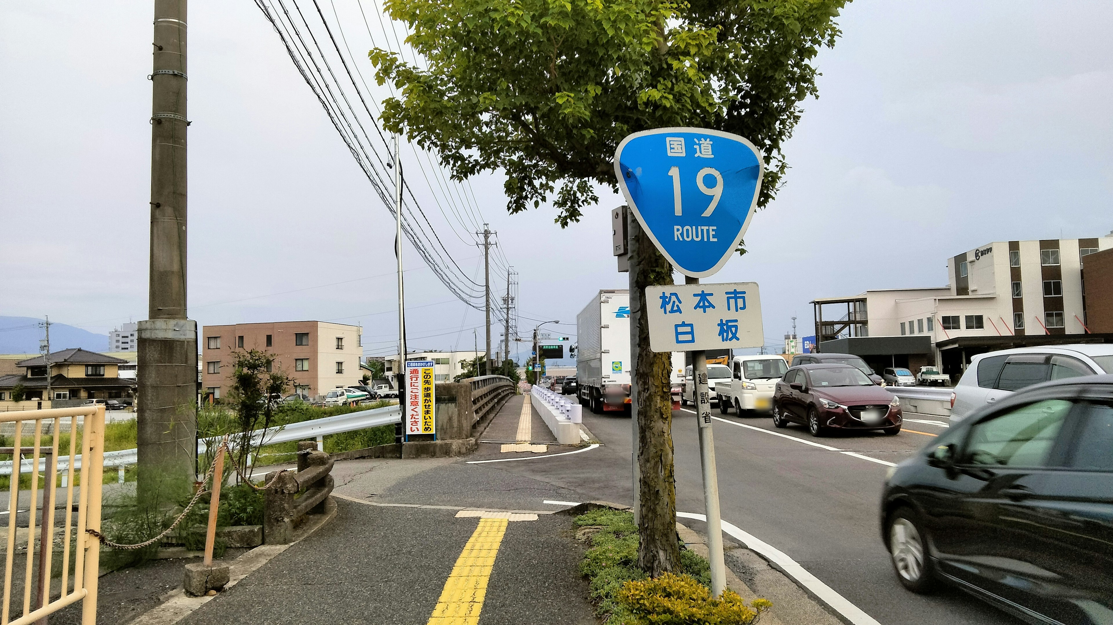 Street view featuring a blue road sign for Route 19 in Japan