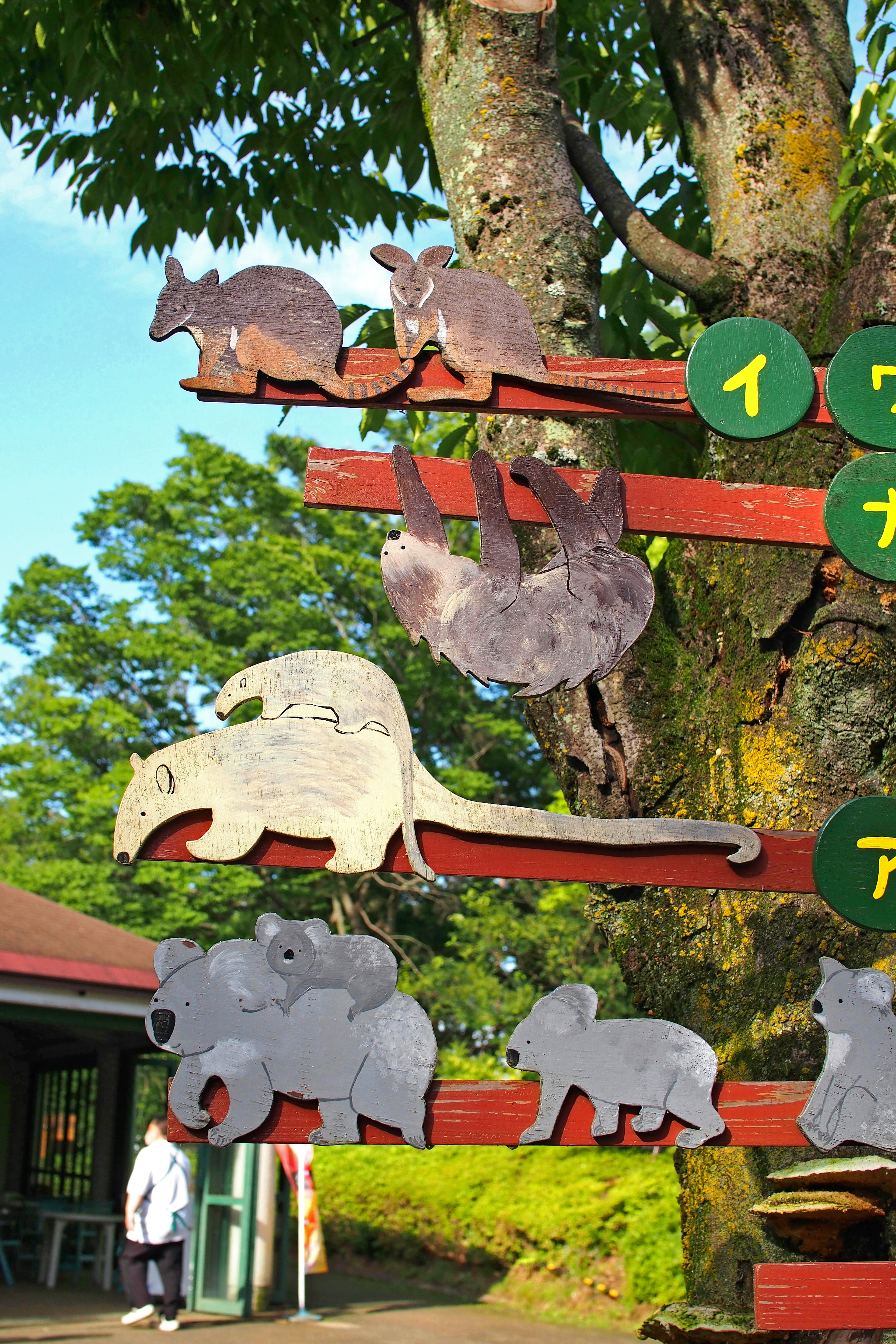 A wooden sign featuring silhouettes of various animals on a tree