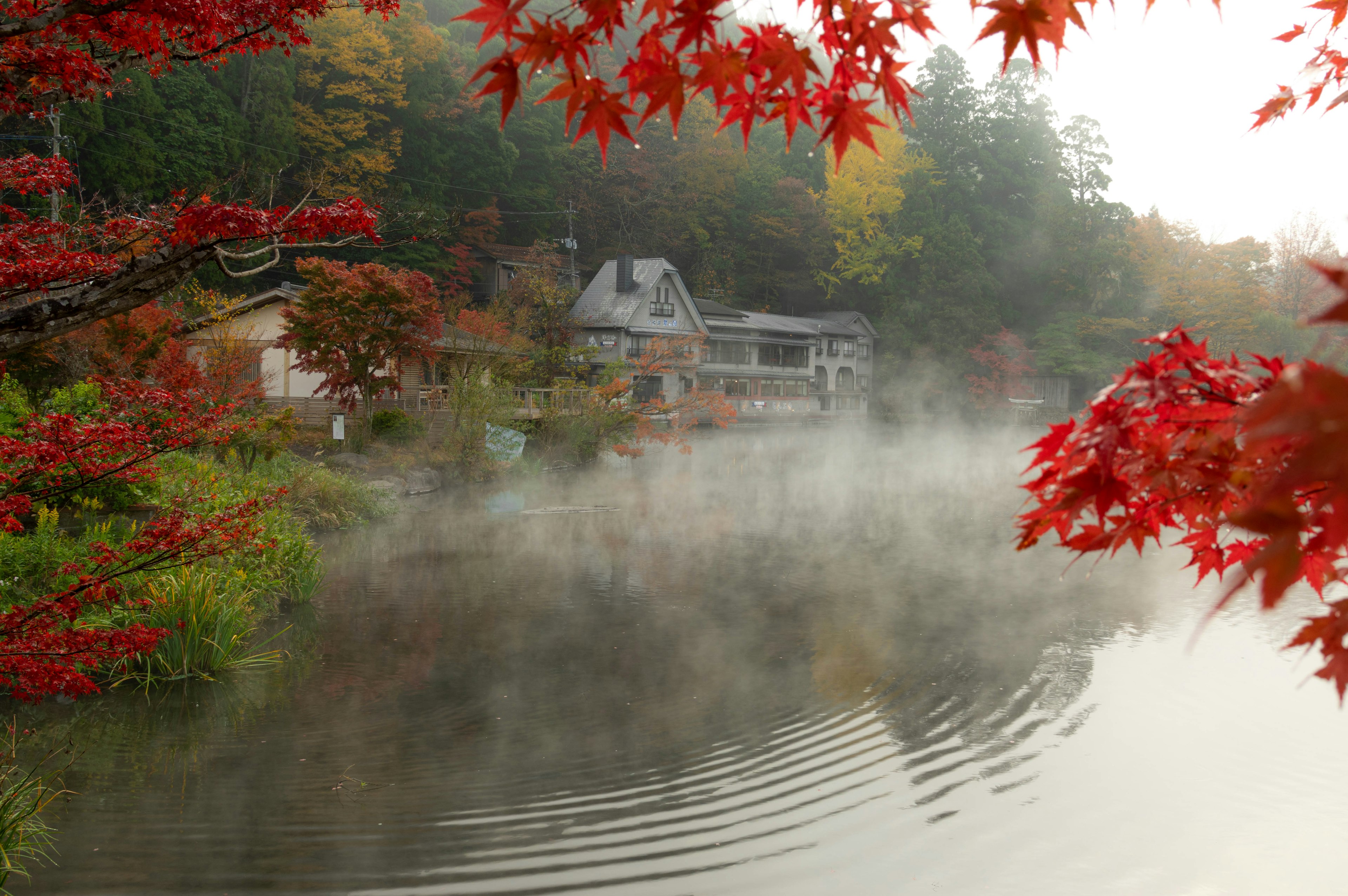 Escena de lago tranquilo con follaje de otoño y casas envueltas en niebla matutina