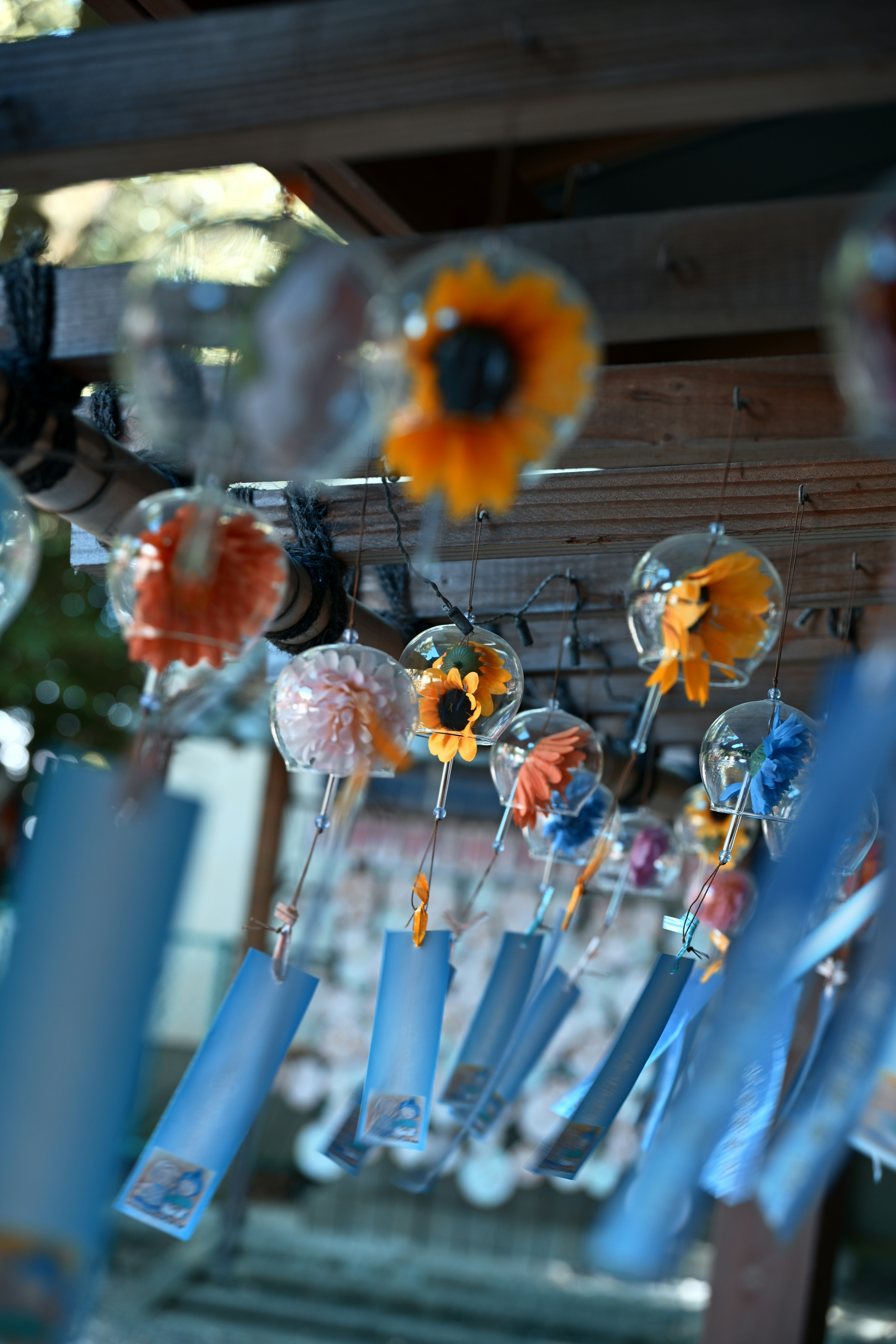 Colorful wind chimes hanging in a beautiful setting