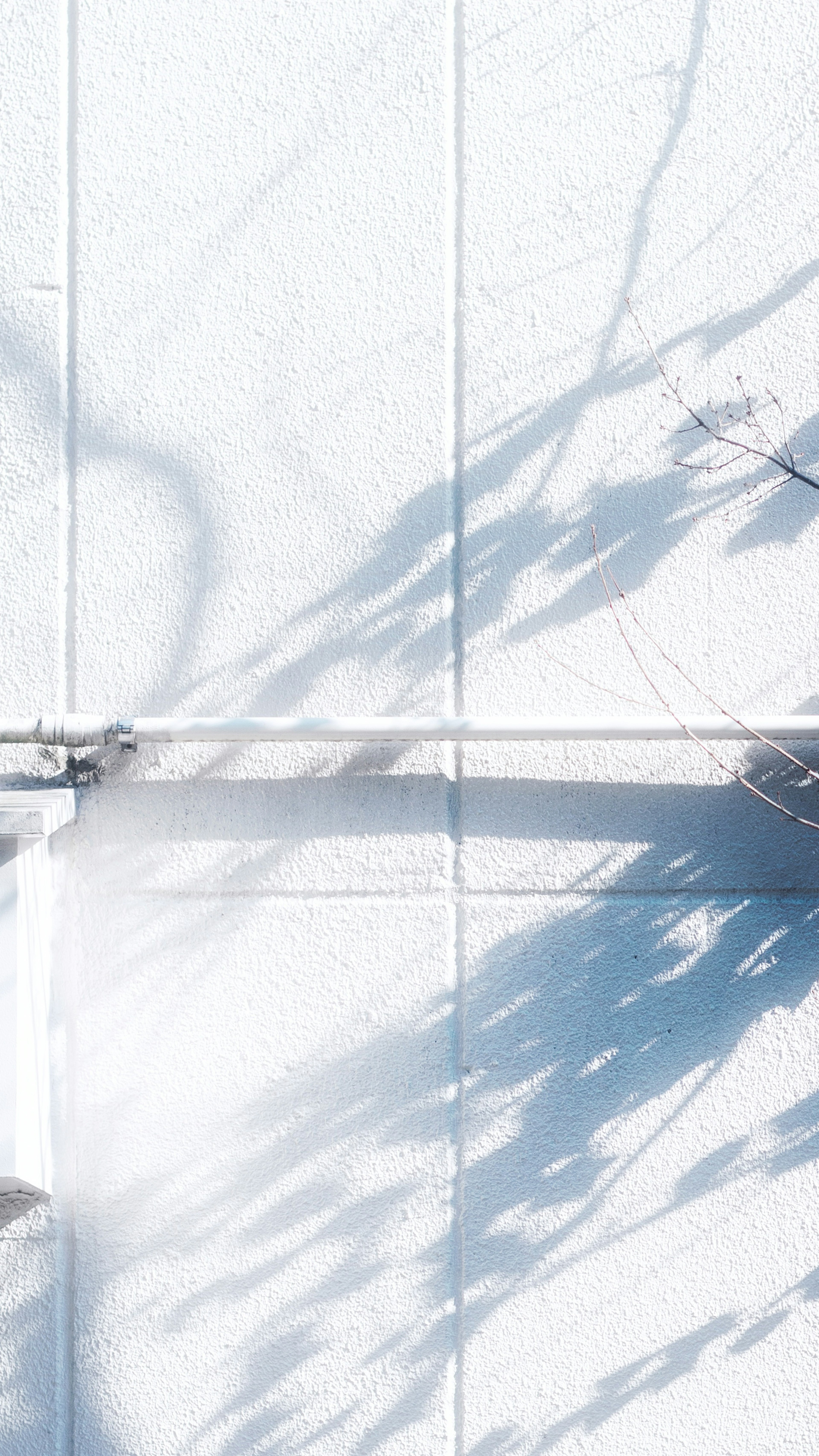 Simple design with shadows of plants crossing on a white wall