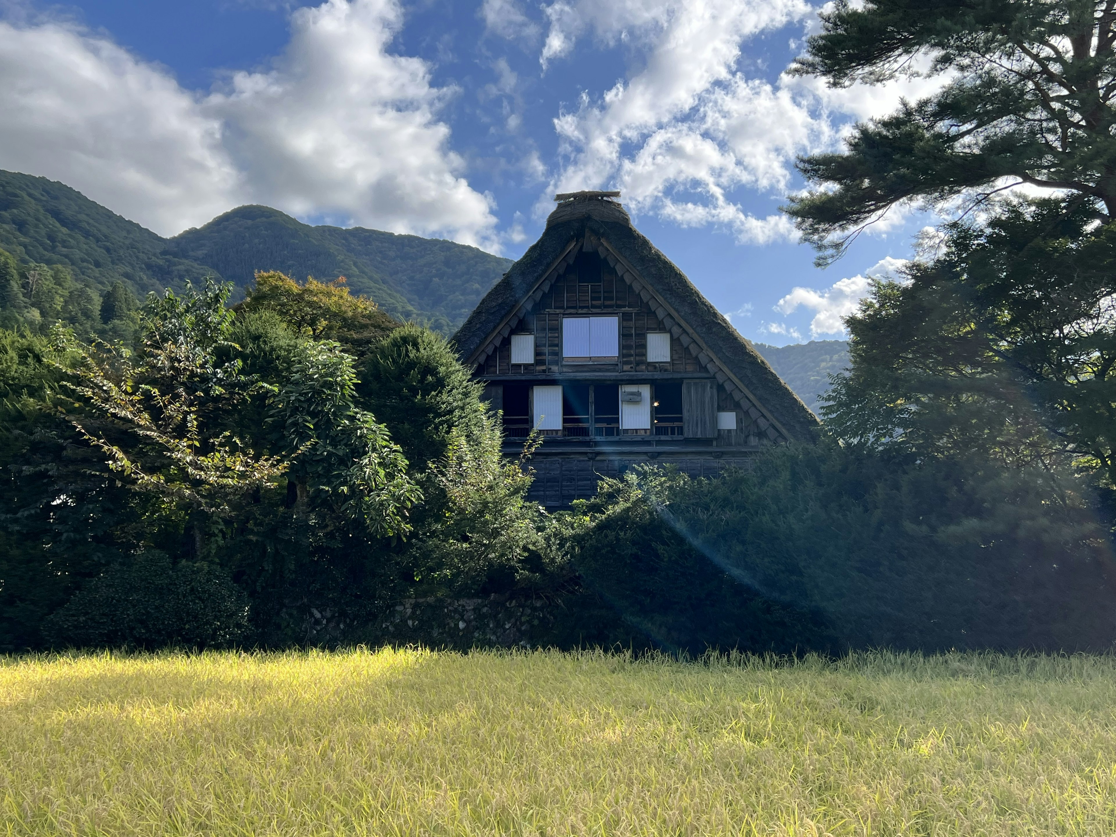 日本传统合掌造屋与山景背景