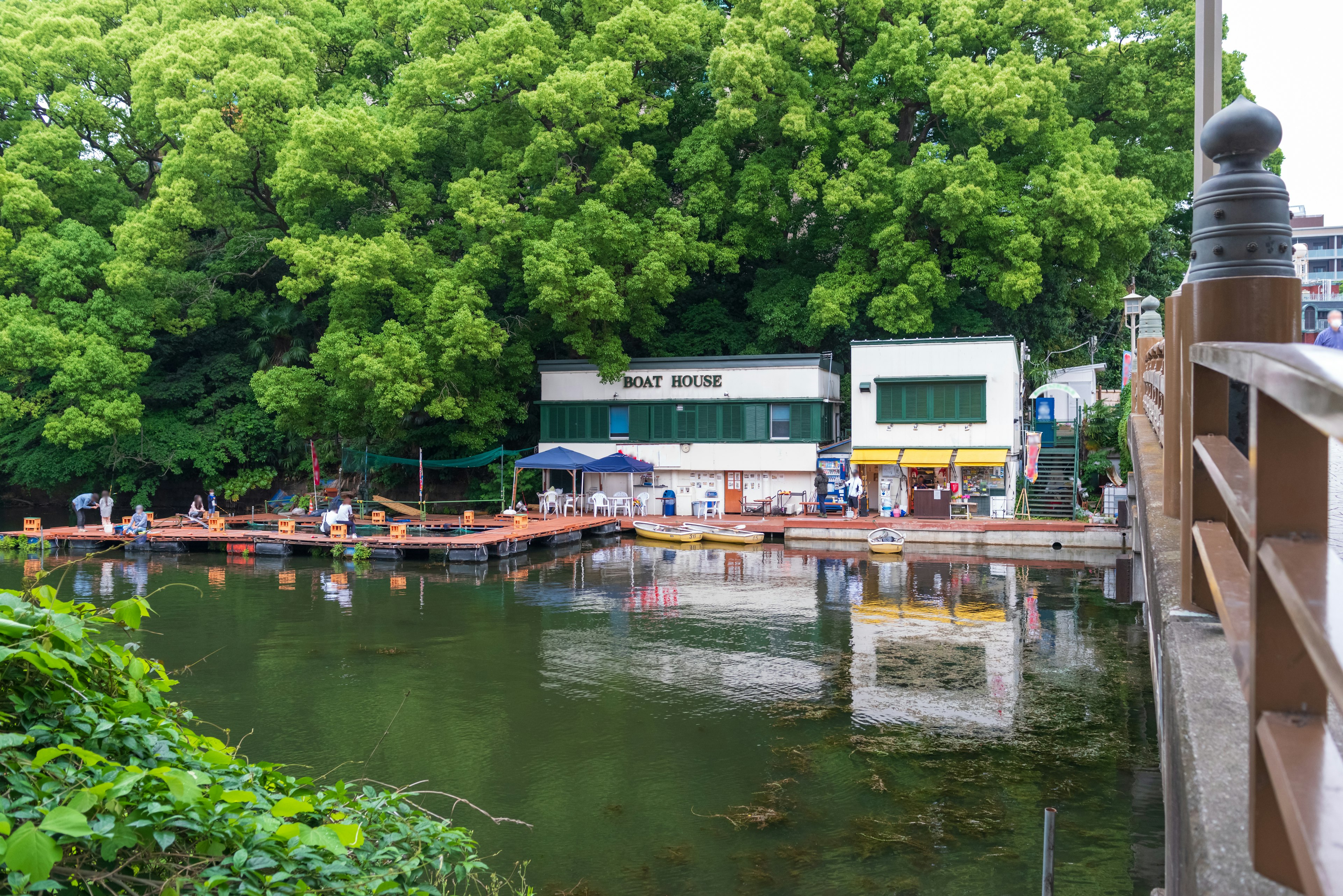 Vue pittoresque d'un étang avec des arbres verts luxuriants et un bâtiment reflété dans l'eau