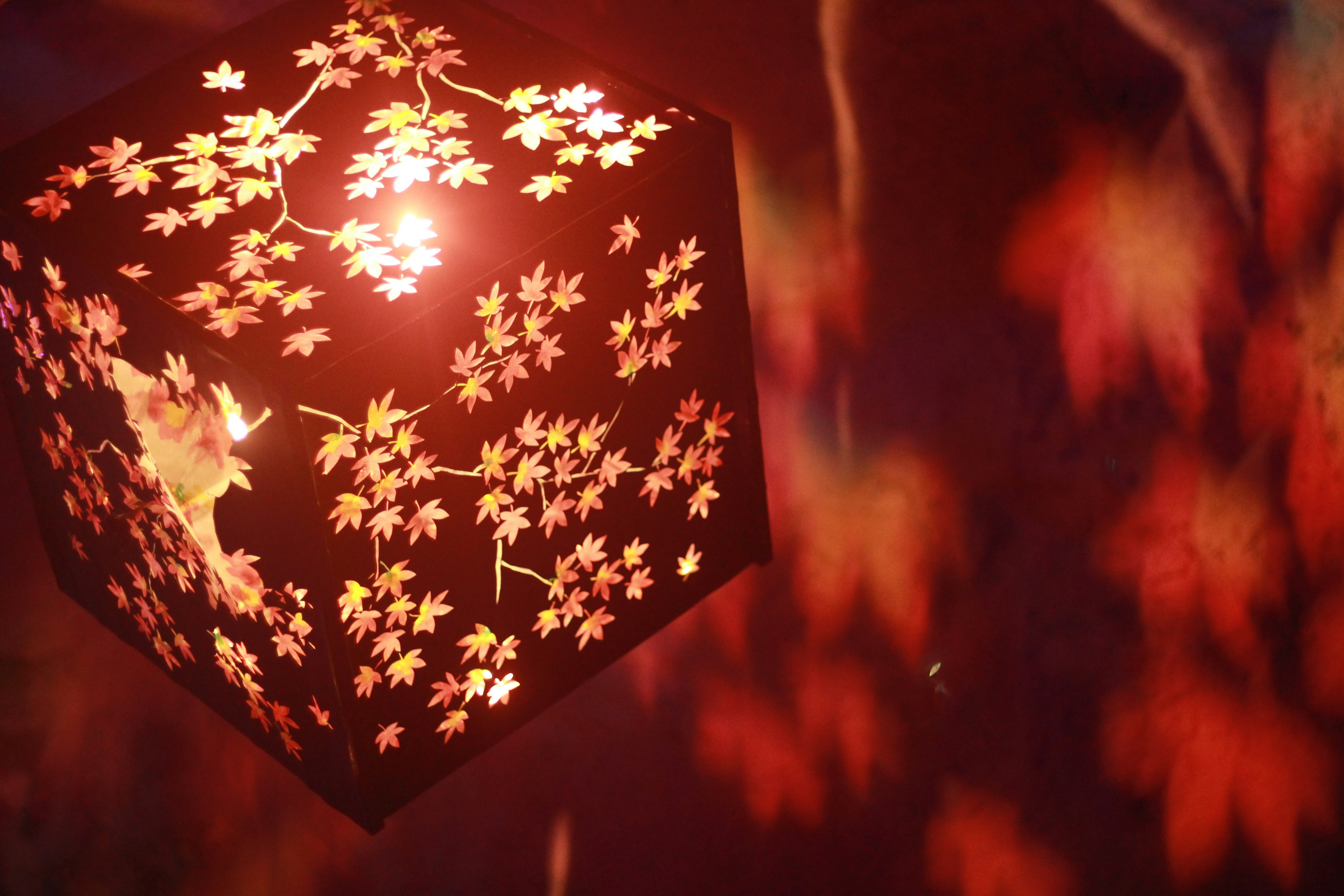 Lamp with cherry blossom patterns glowing in red light