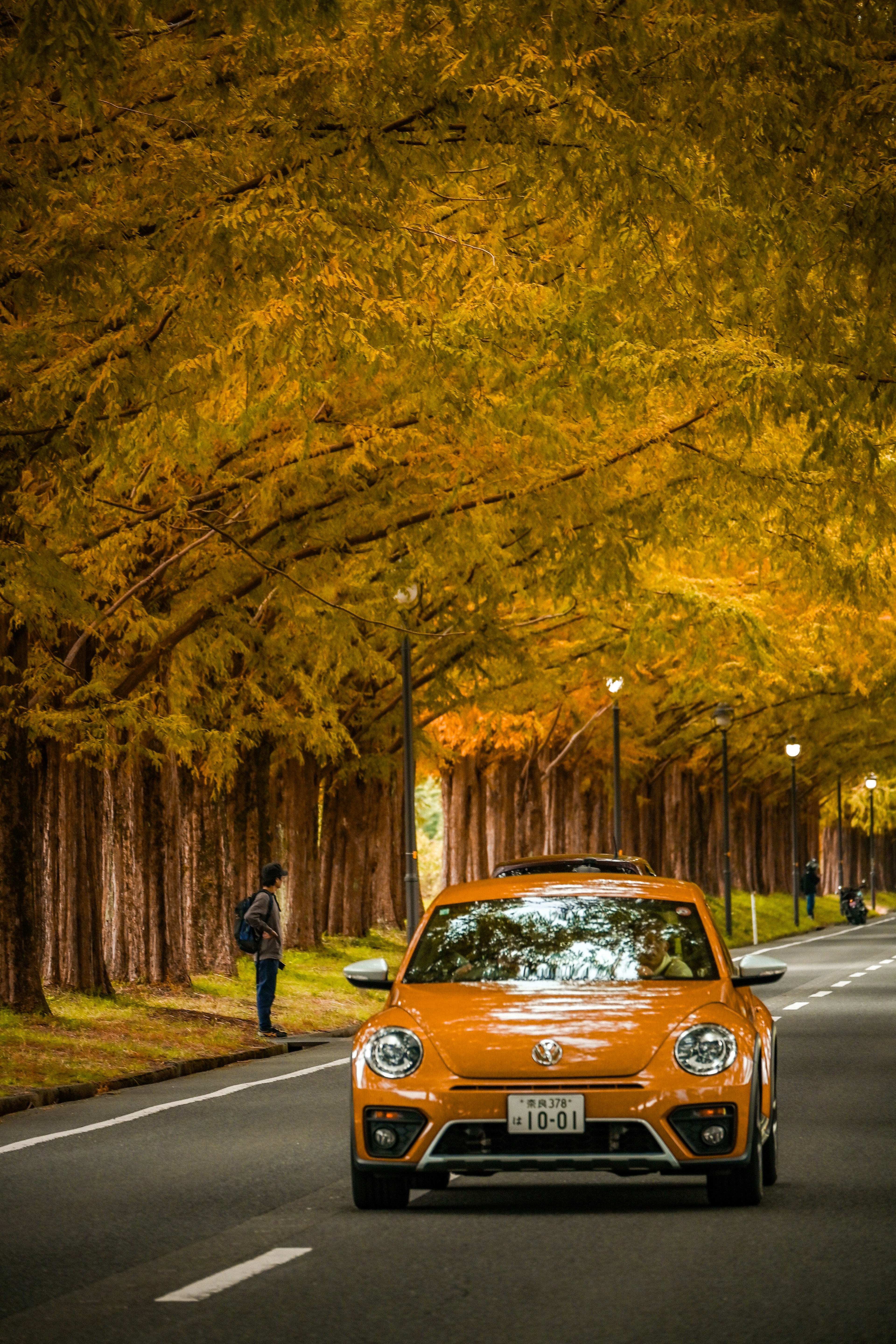 An orange car driving down a tree-lined road with golden leaves