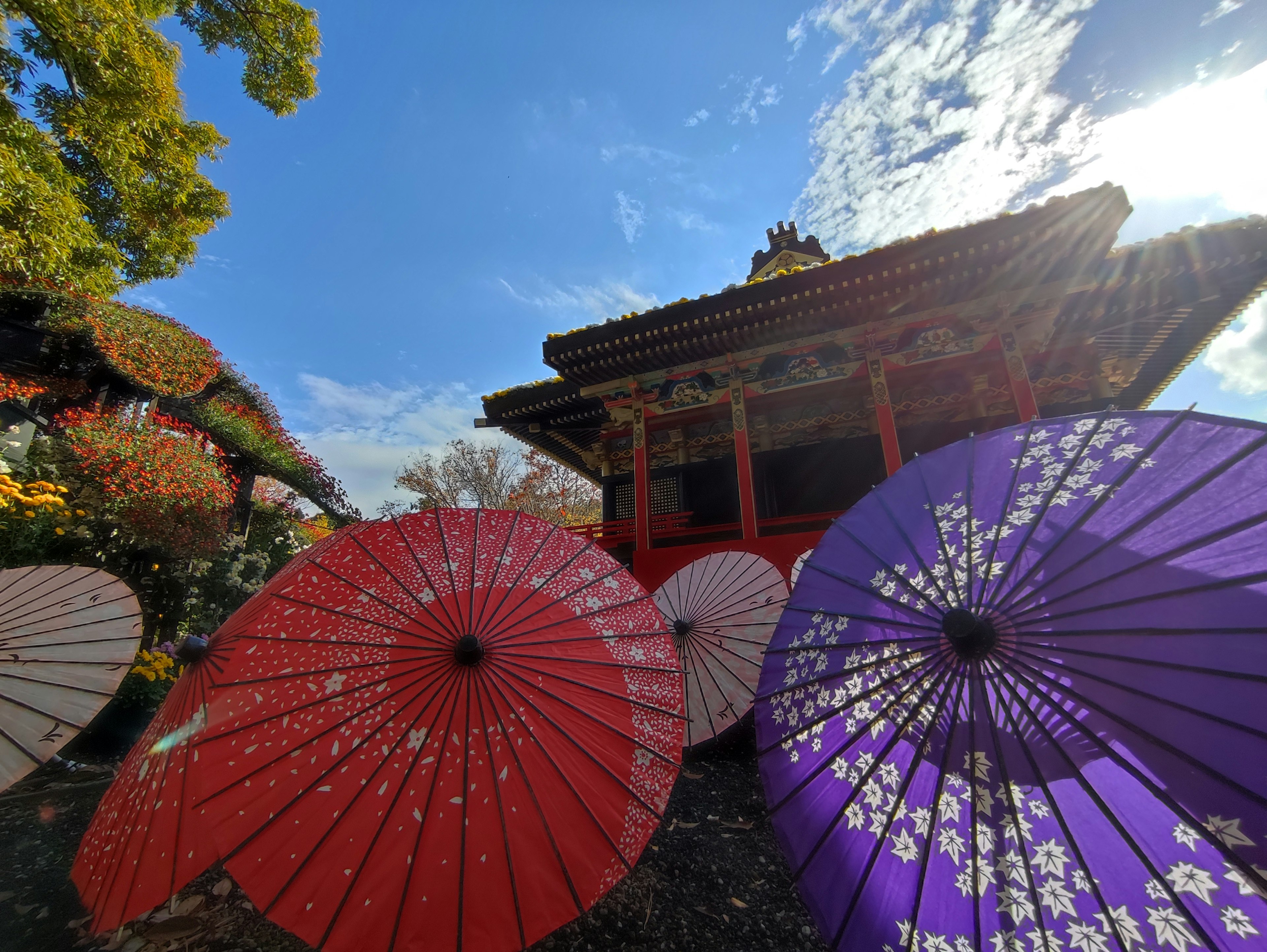 Edificio tradicional japonés con paraguas rojos y morados en primer plano