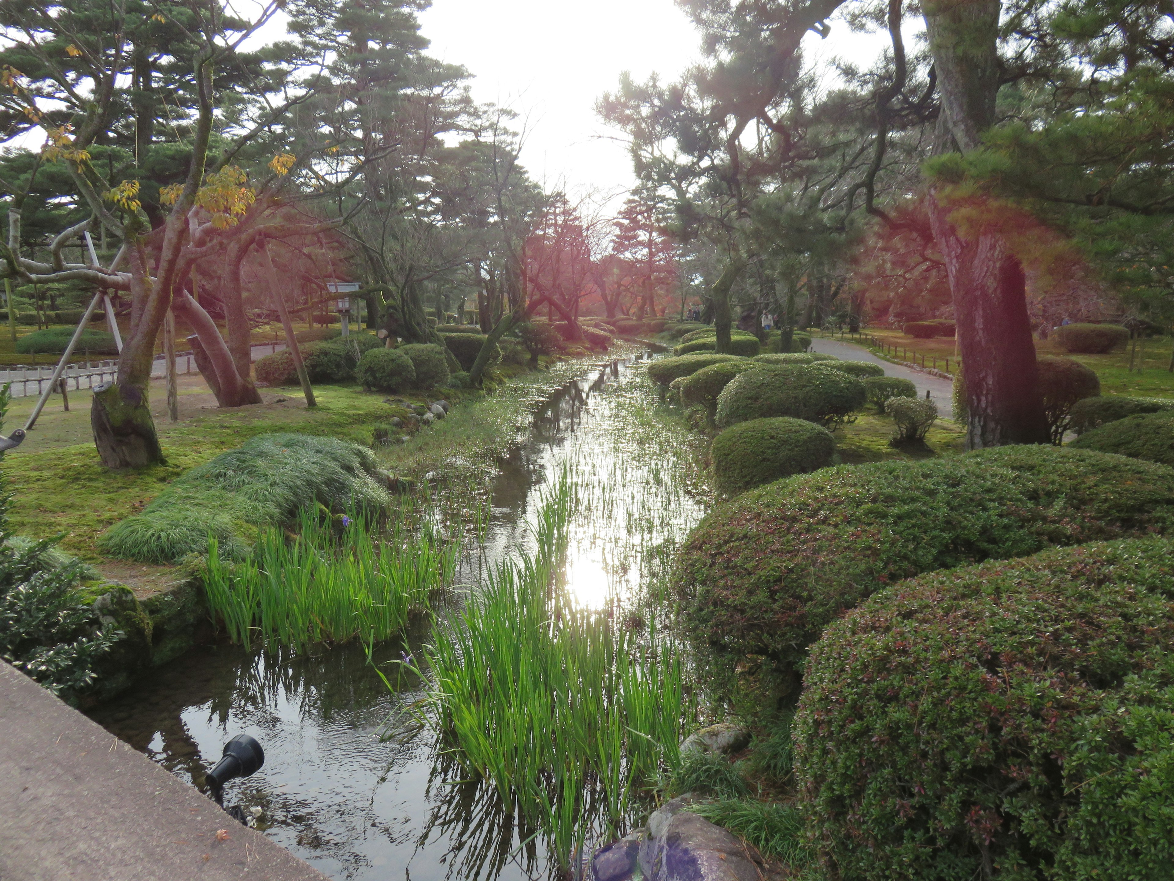 Serene Japanese garden scene with lush greenery and a tranquil stream