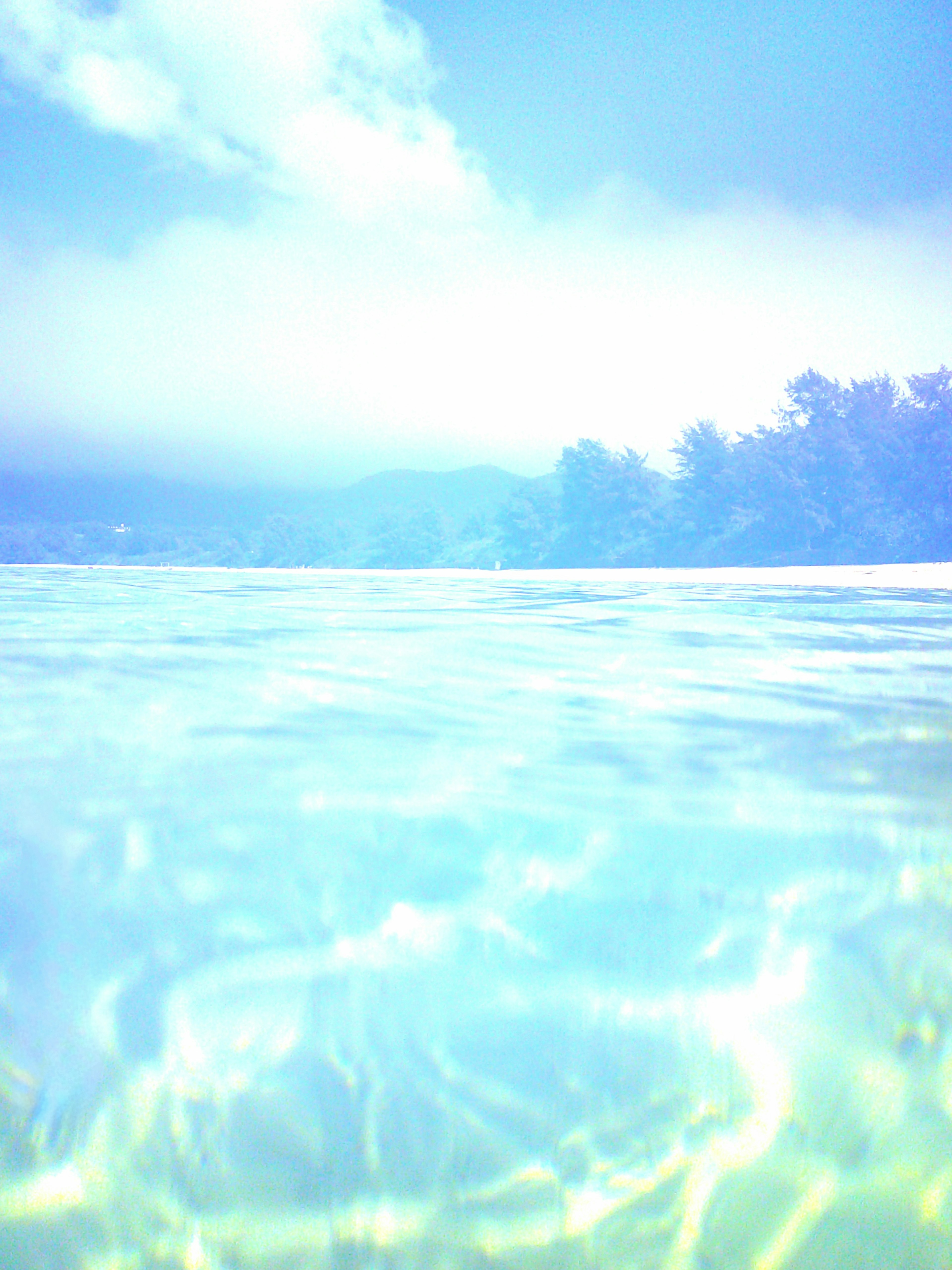 Calm blue water surface with misty forest in the background