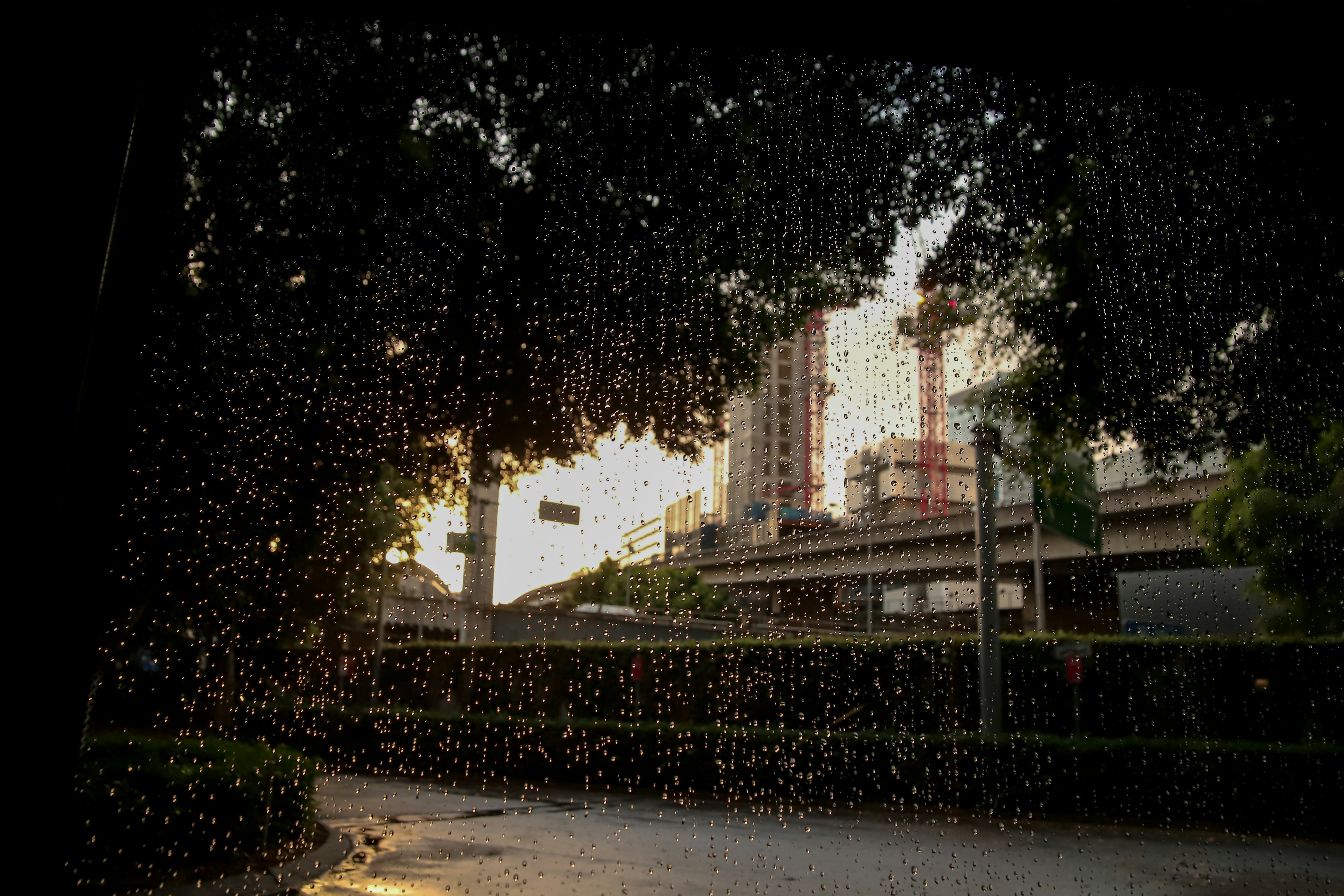 雨の中の都市風景と夕焼けの光