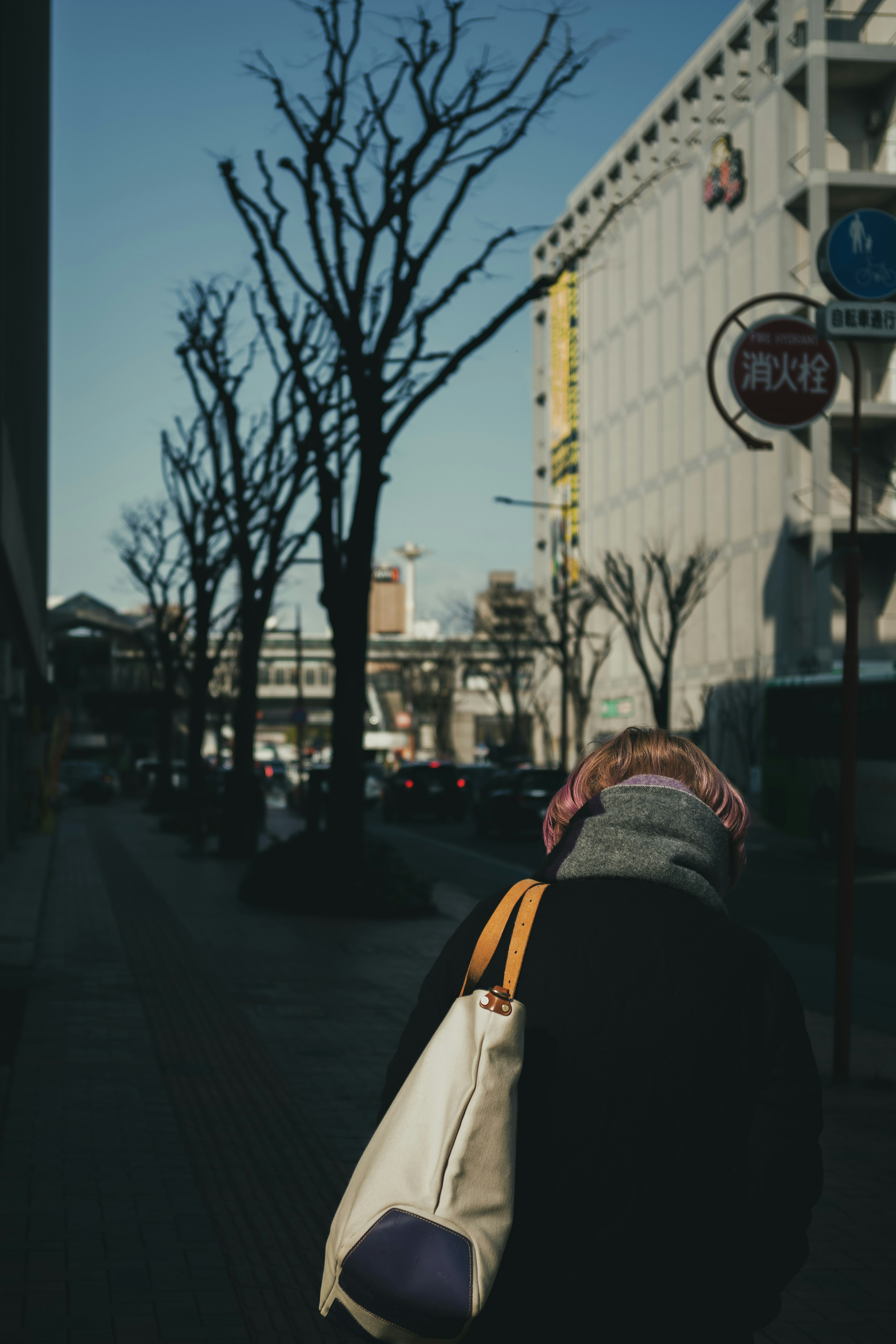 Persona che cammina in una strada con alberi spogli e edifici