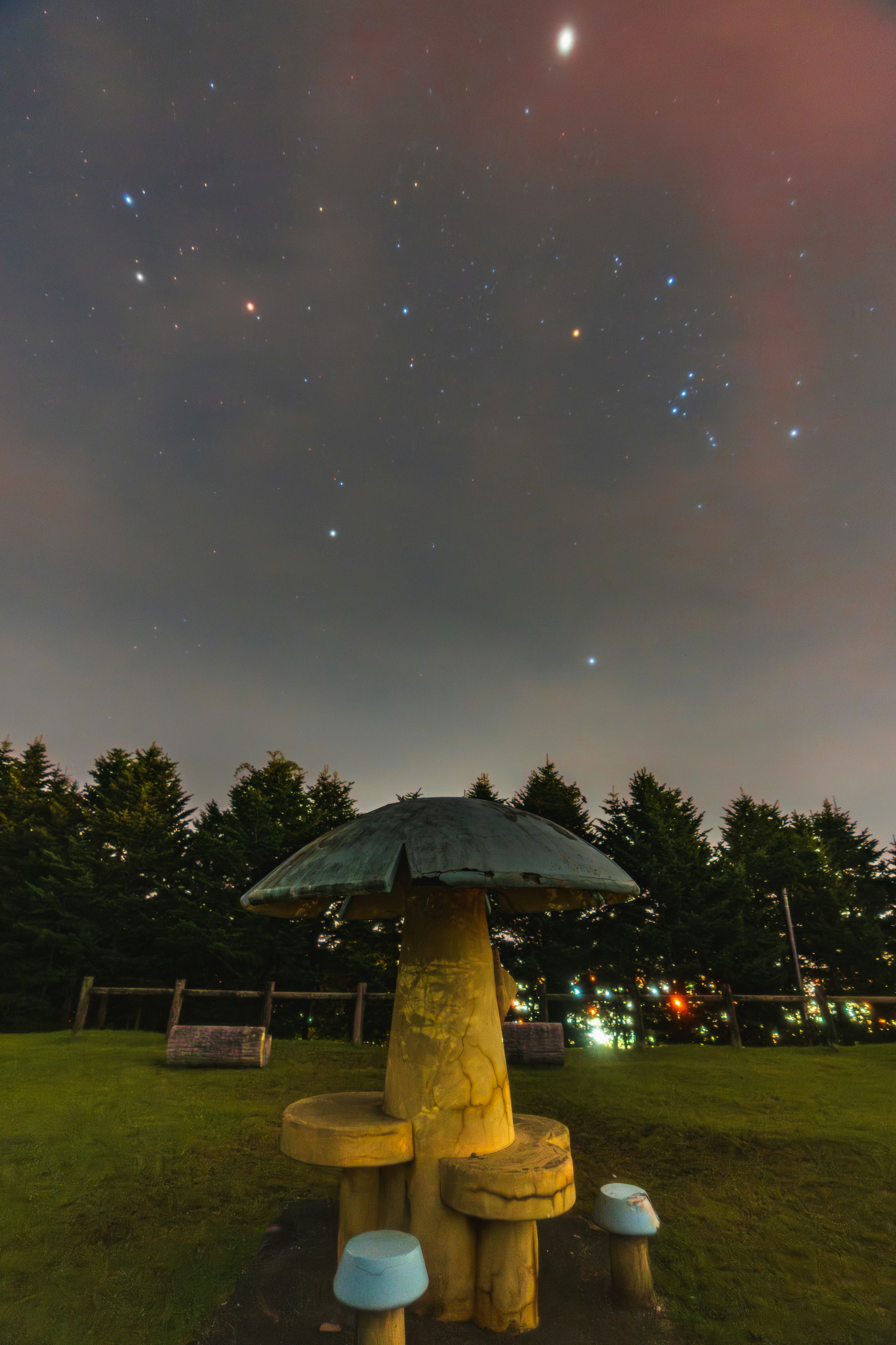 Grande panchina e tavolo a forma di fungo sotto un cielo stellato in un parco