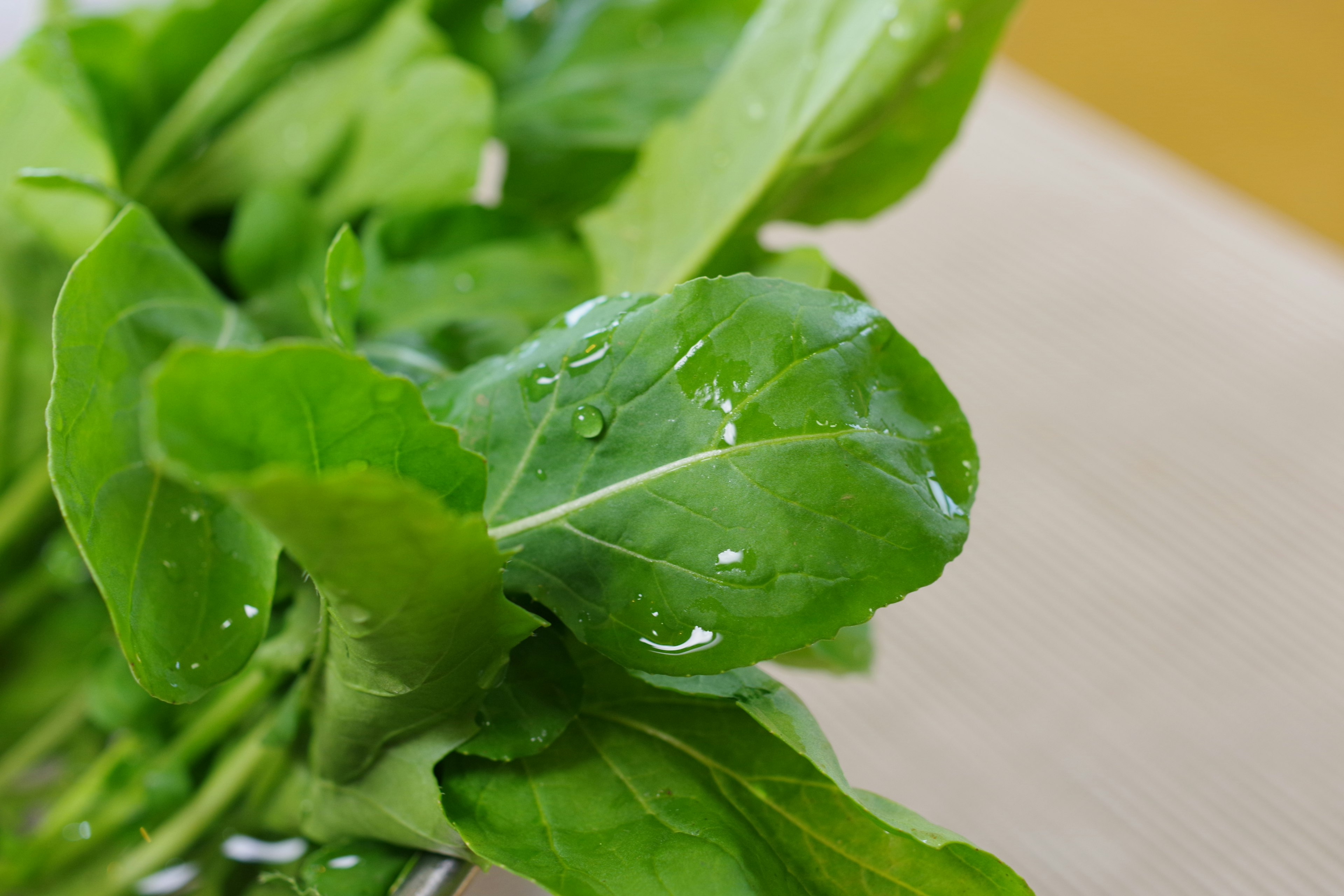 緑の葉と水滴のある新鮮な野菜