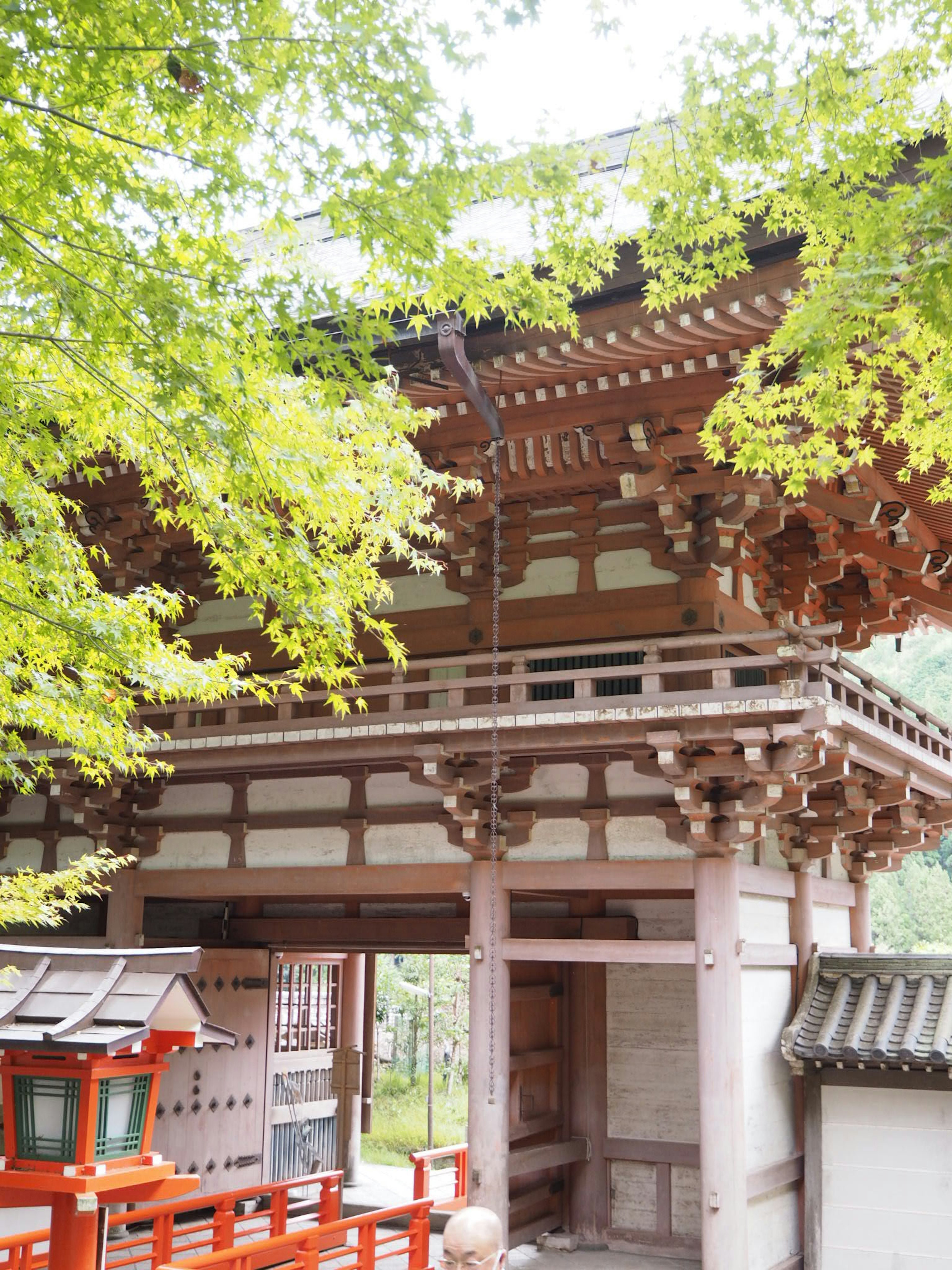 美しい木造の門と緑豊かな木々が見える風景