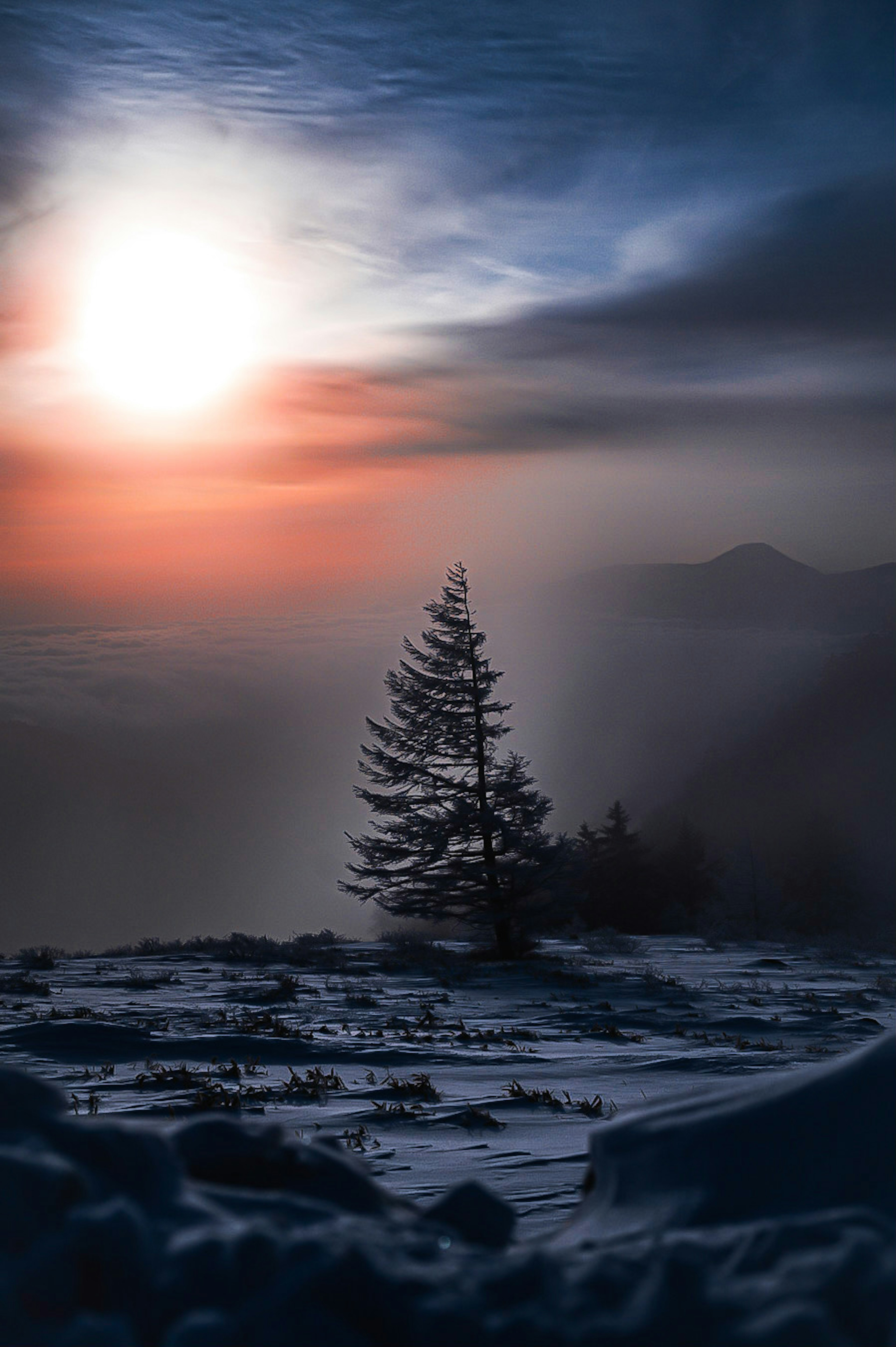 Árbol solitario en un paisaje nevado con una puesta de sol