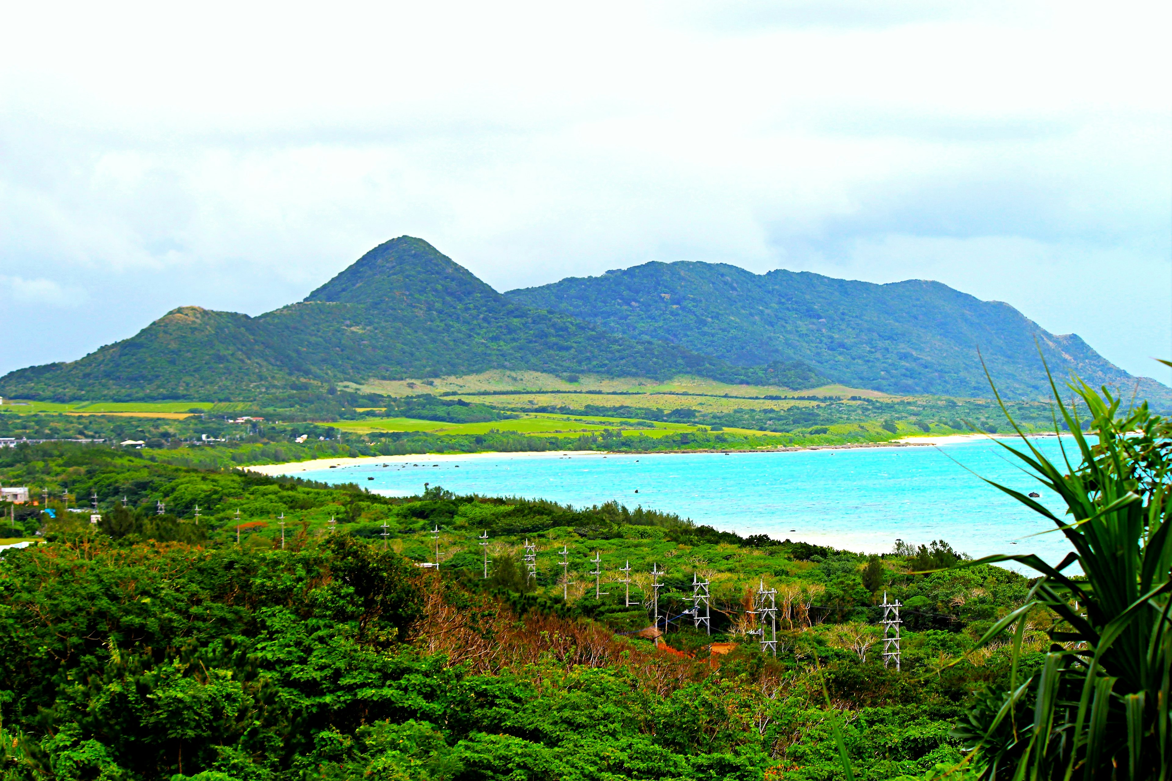 碧绿海洋与绿色山丘的风景