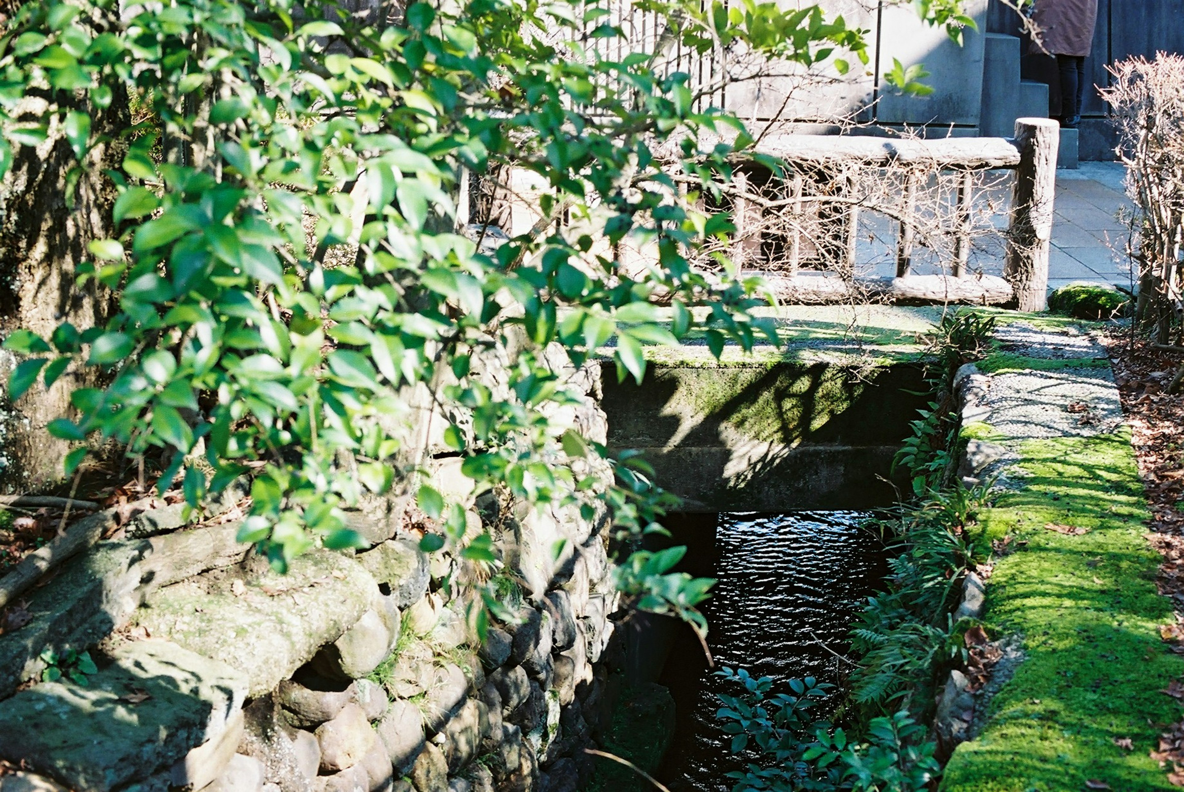 A serene scene featuring a small stream bordered by lush greenery and a wooden bridge