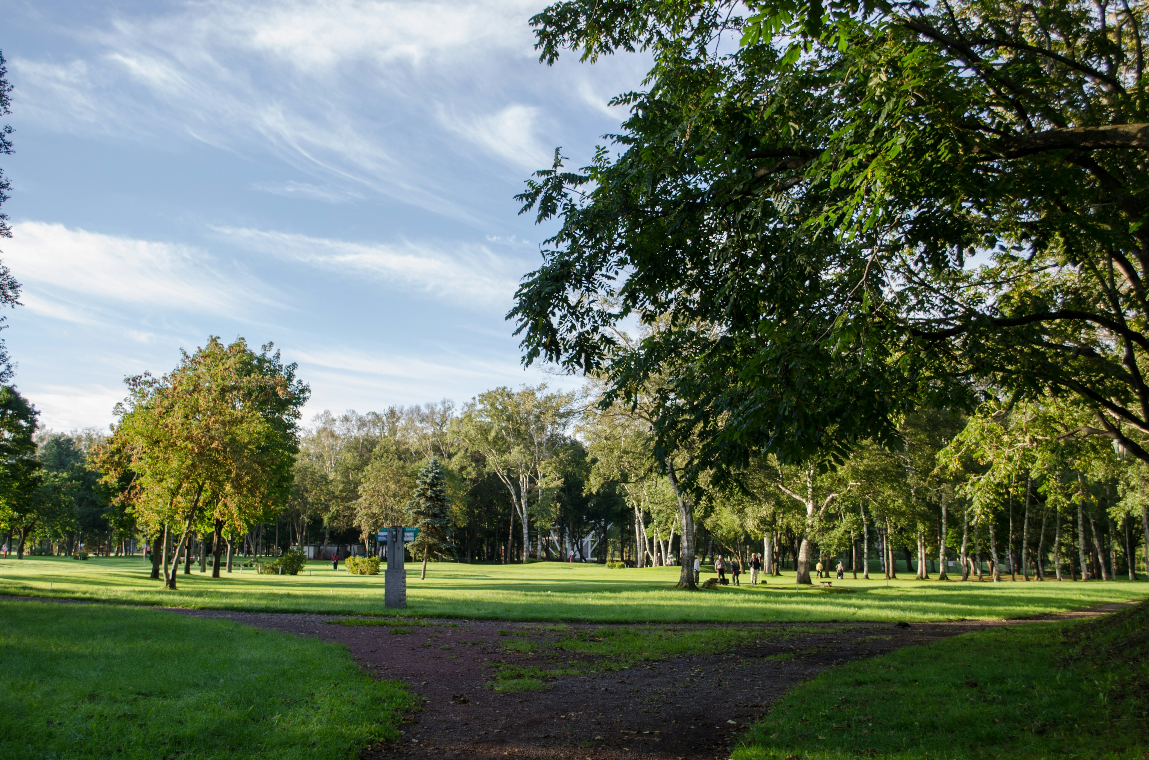 Üppige Parklandschaft mit blauem Himmel und Wolken, Bäume und Skulpturen im Freien