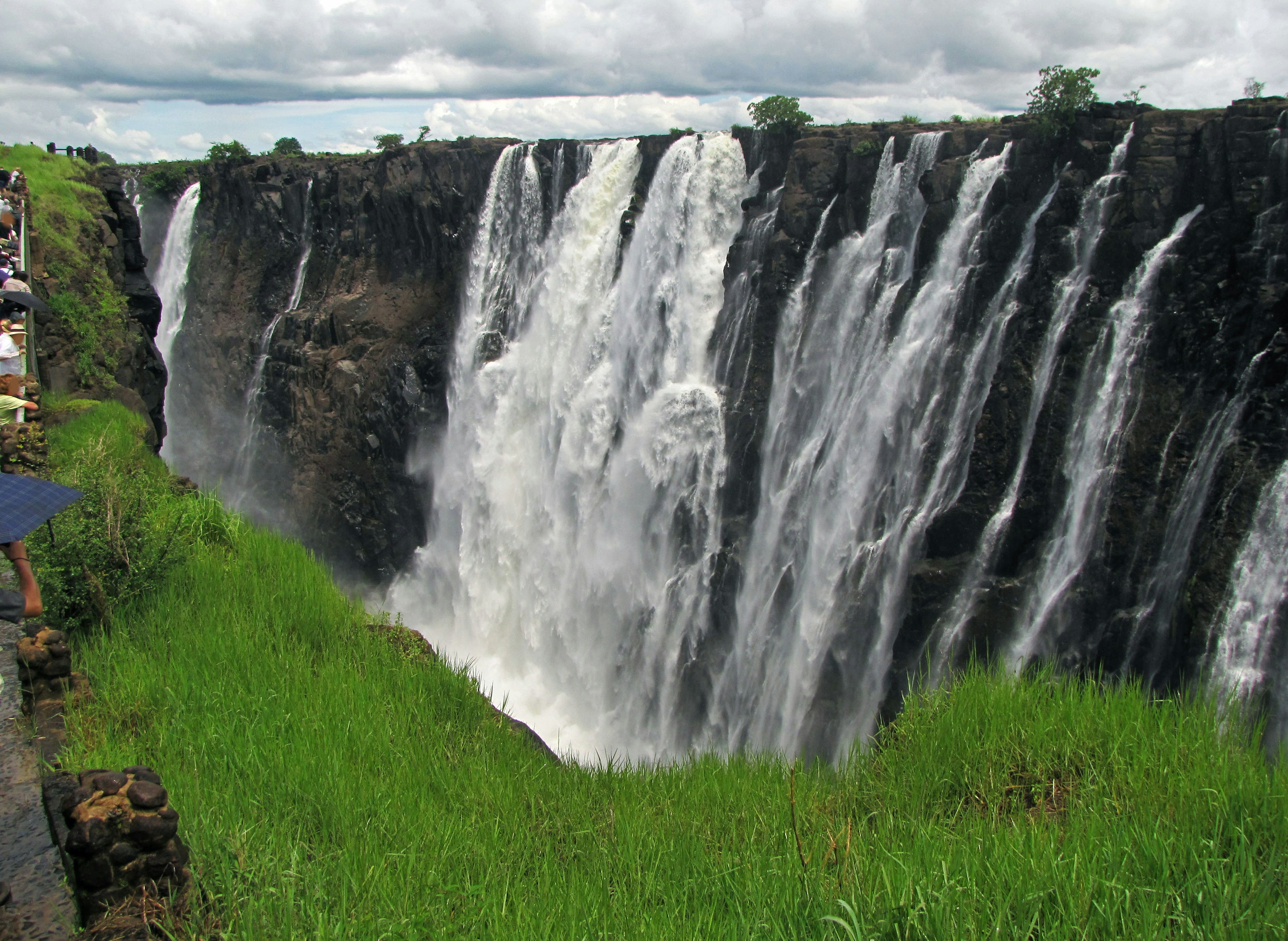 Hermosa cascada que cae rodeada de hierba verde